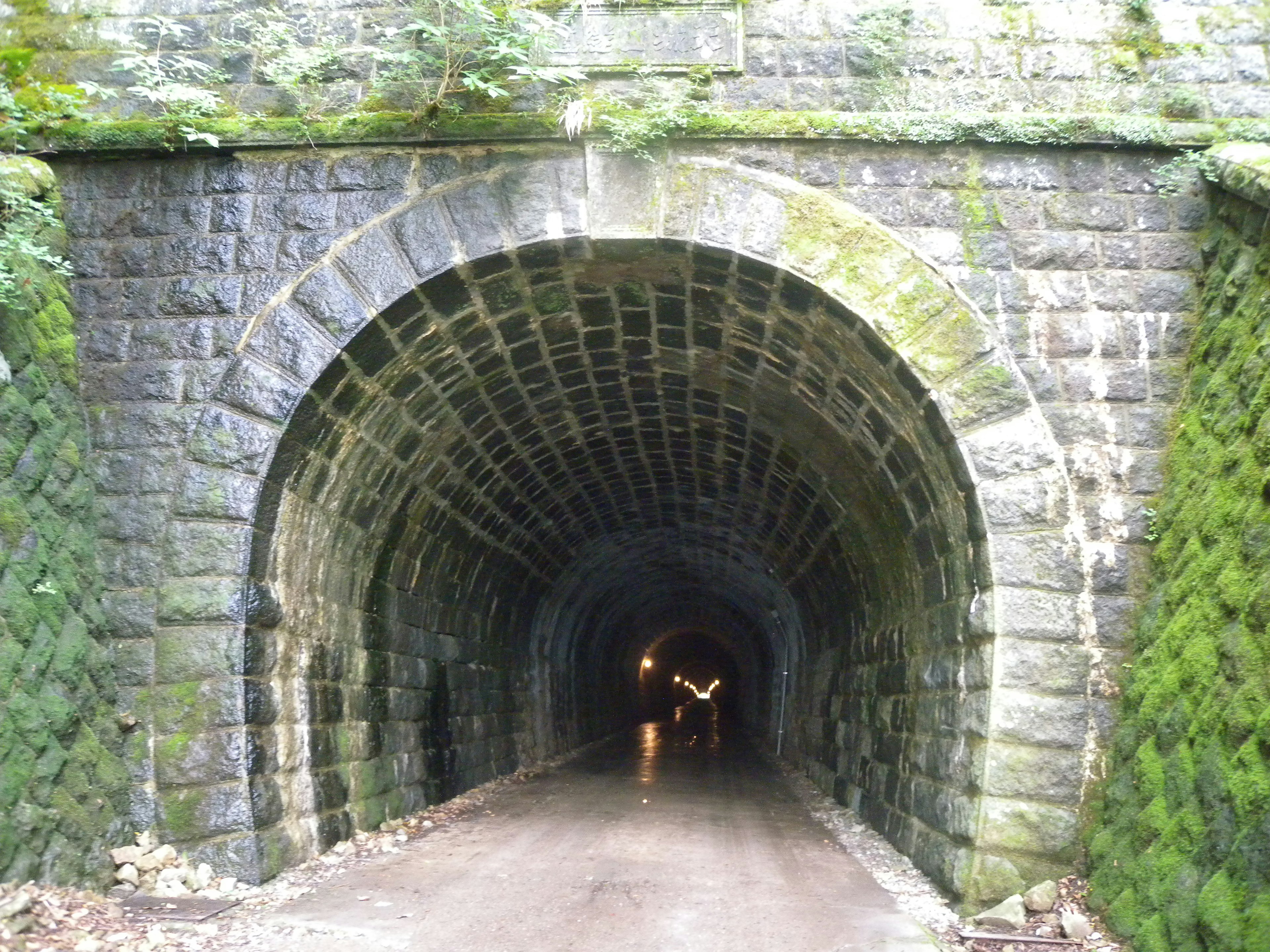 Innensicht eines mit Moos bedeckten Steintunnels