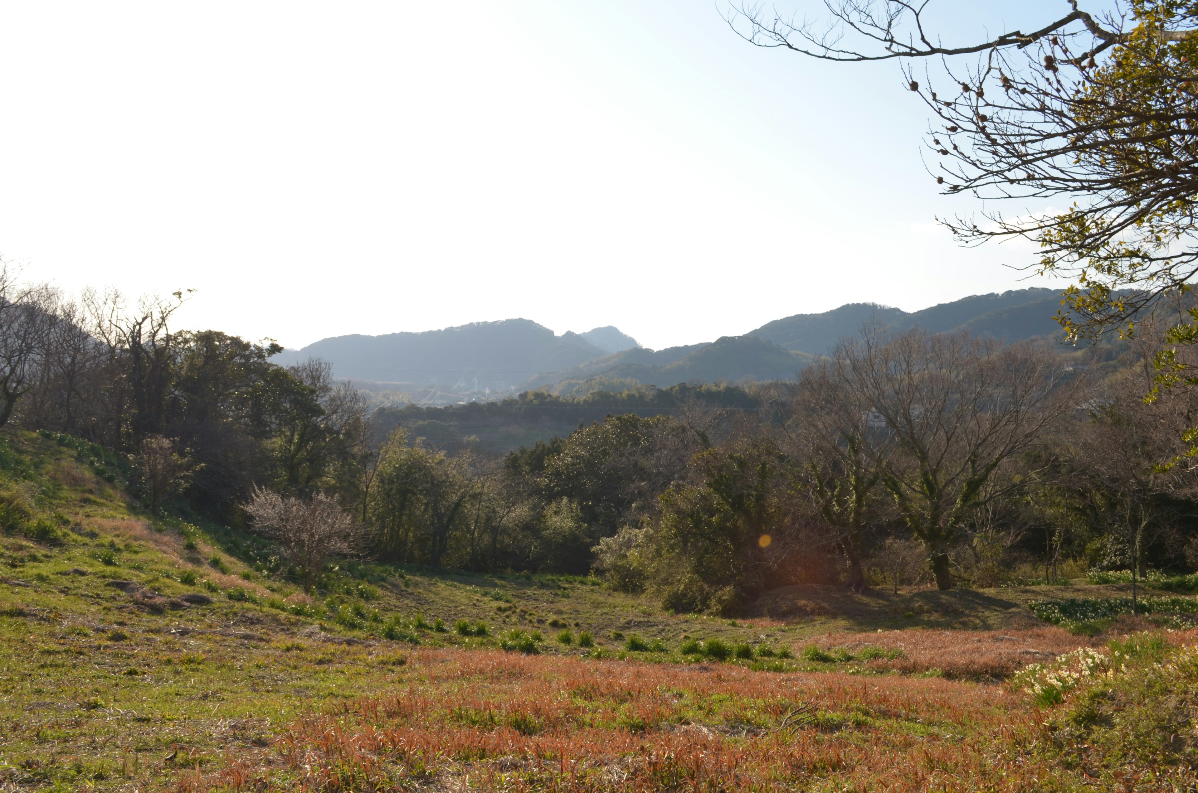 Vista escénica de montañas y un campo de hierba