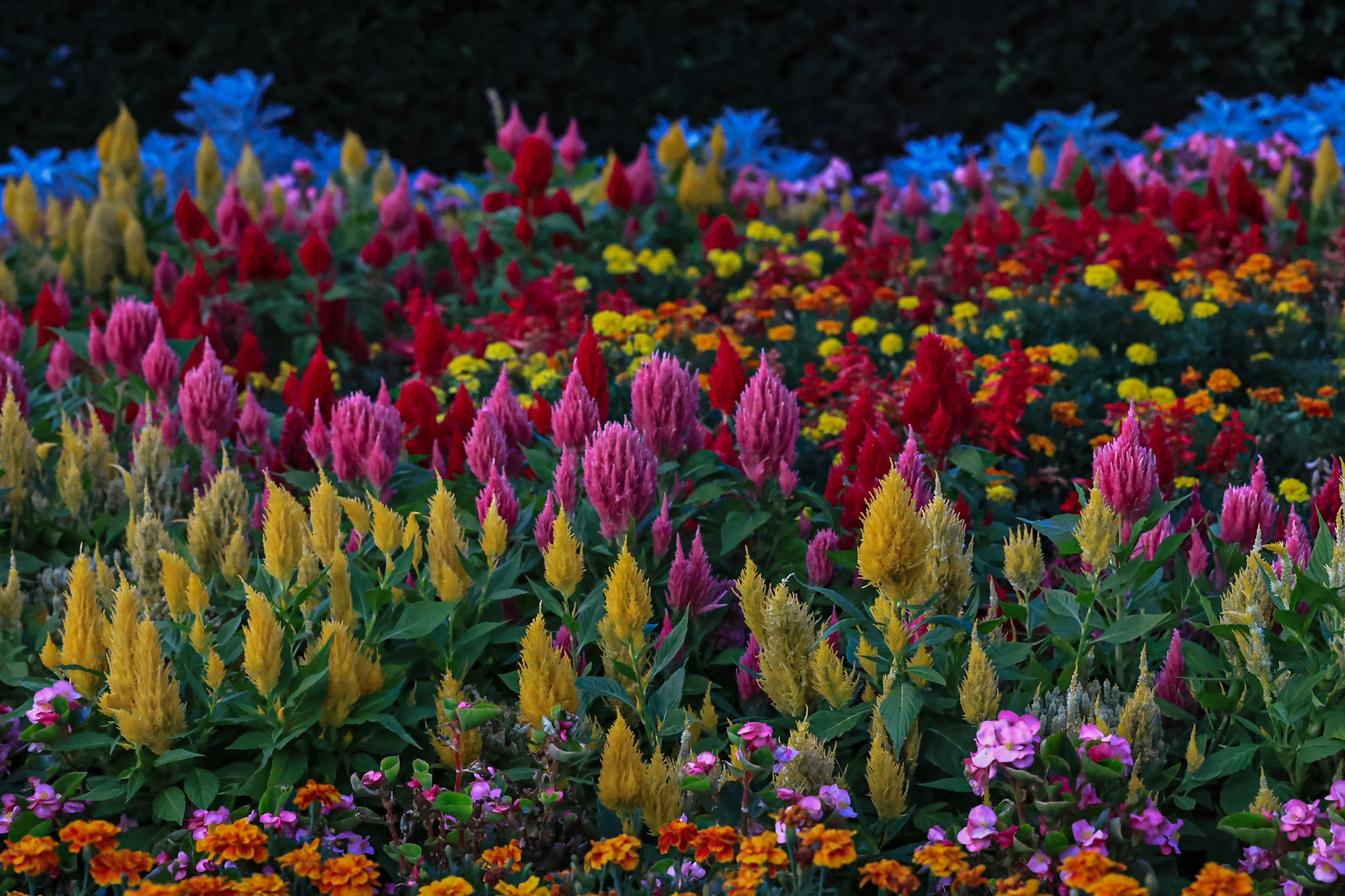 色とりどりの花が咲き誇る庭の風景