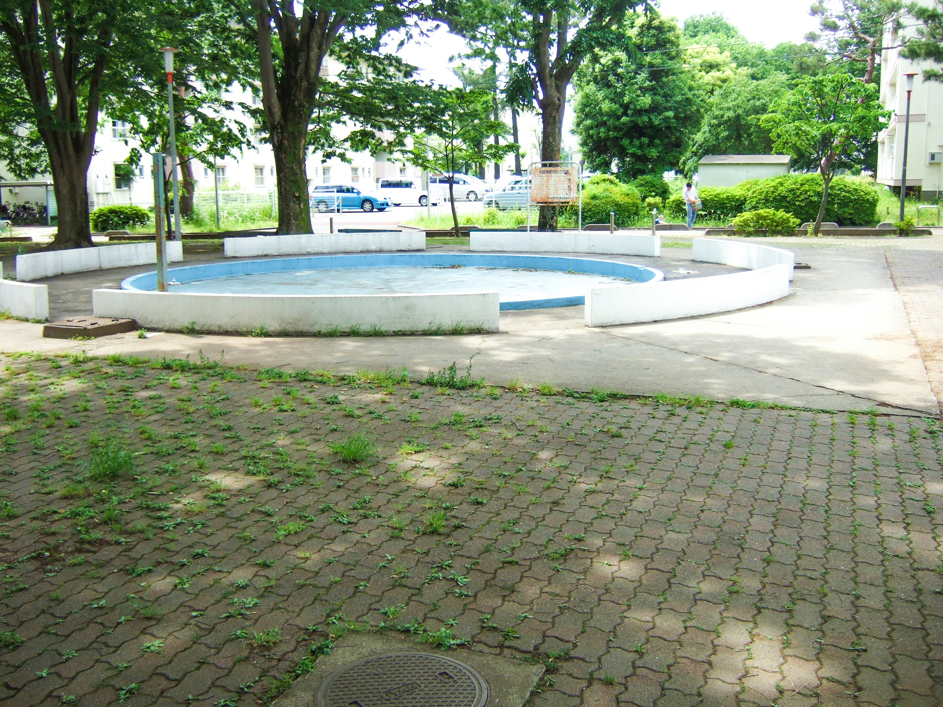 Circular pool in a park surrounded by green trees