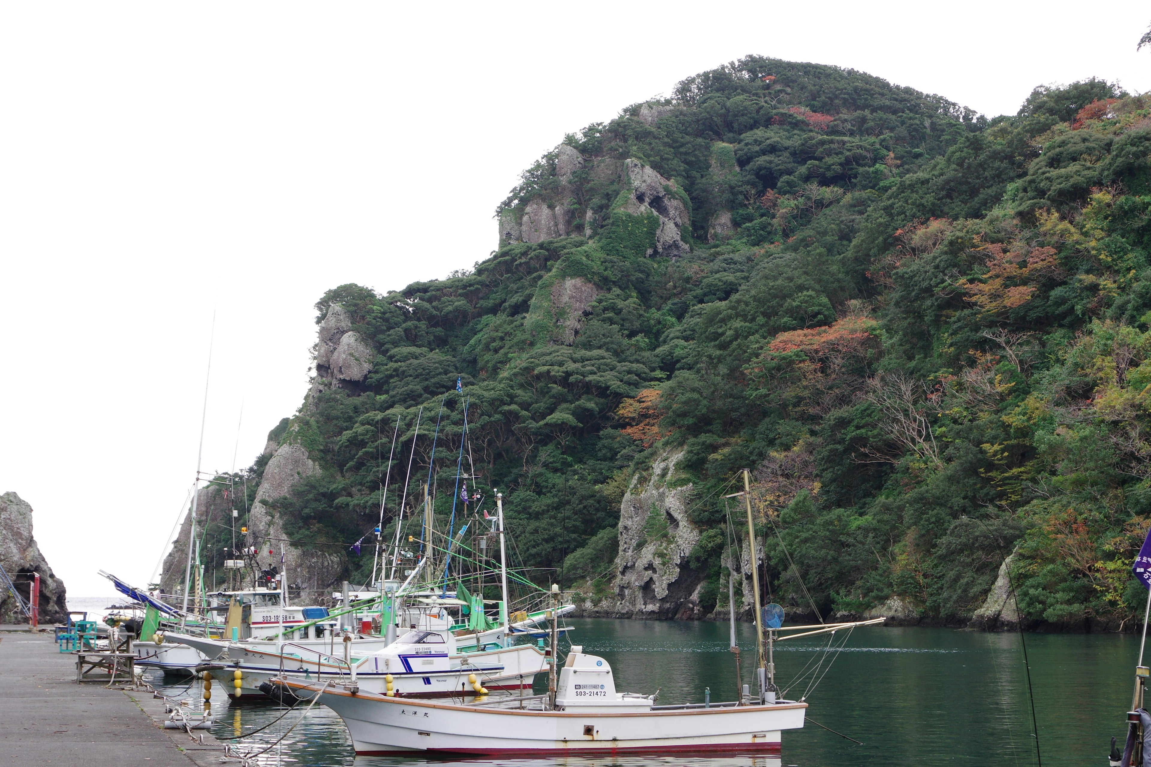 Fishing boats docked at a harbor with lush green hills in the background