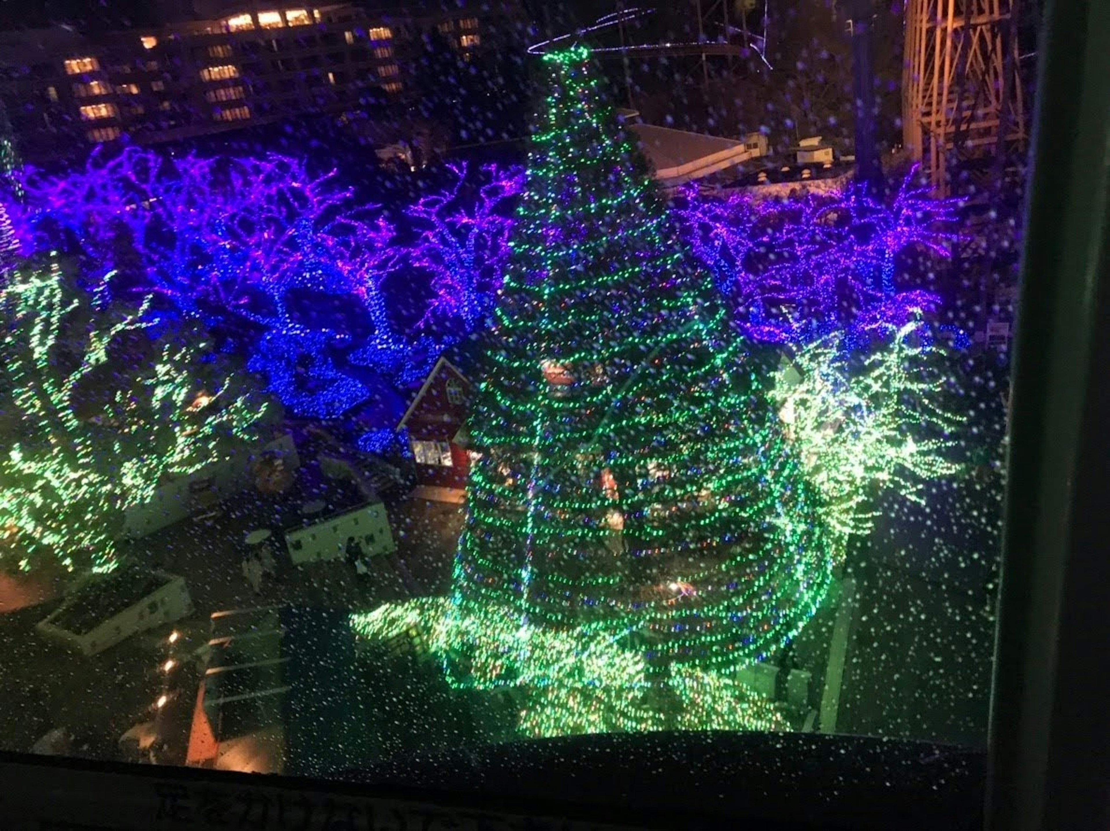 Beleuchteter grüner Weihnachtsbaum umgeben von lila Lichtern und Bäumen bei Nacht