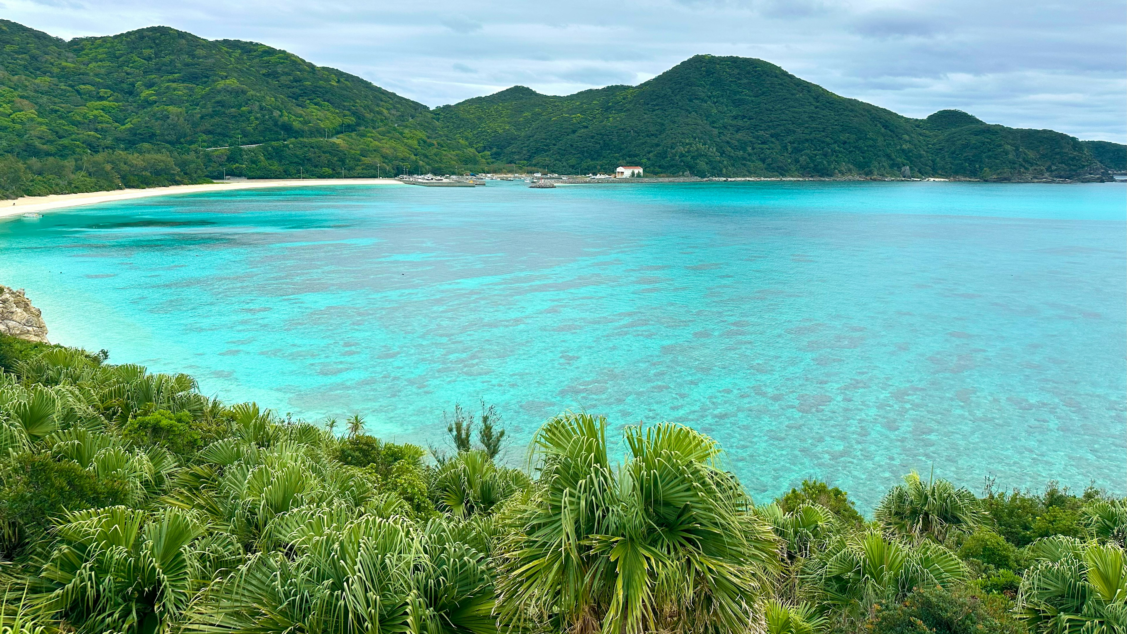 蓝绿色海洋和郁郁葱葱的山脉的风景