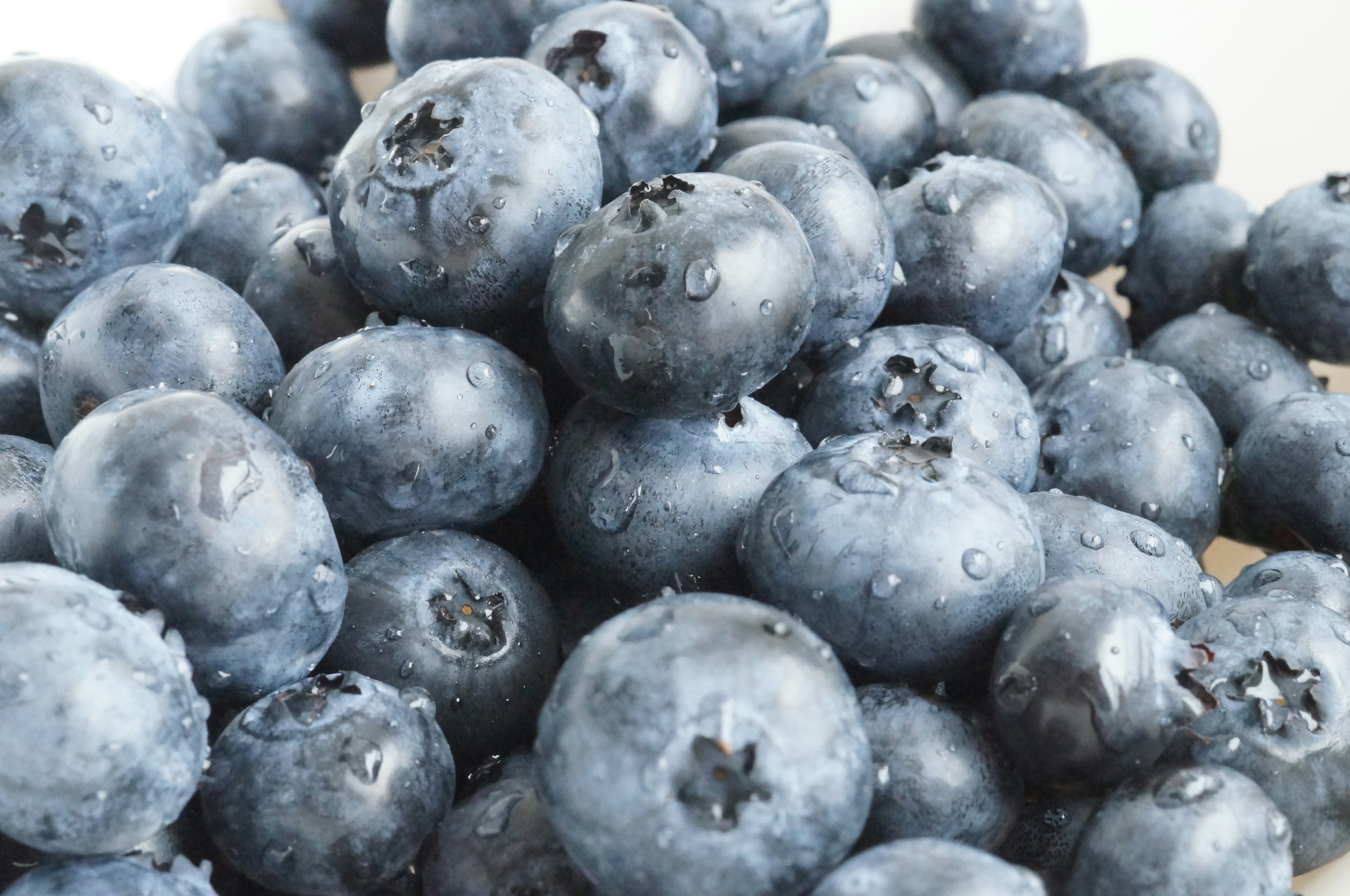 Nahaufnahme von frischen Heidelbeeren