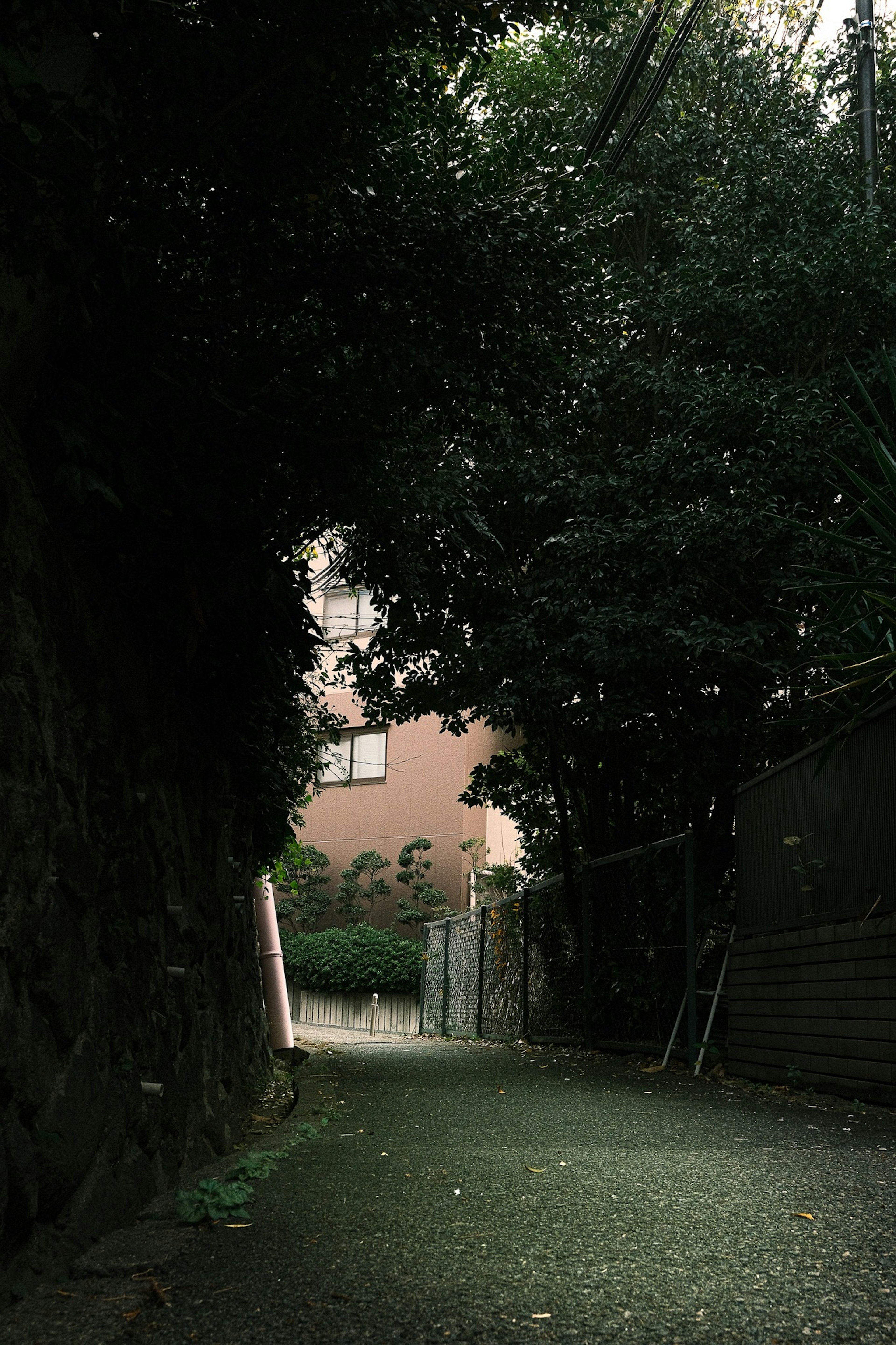 Enge Gasse umgeben von Grün mit einem Gebäude im Hintergrund