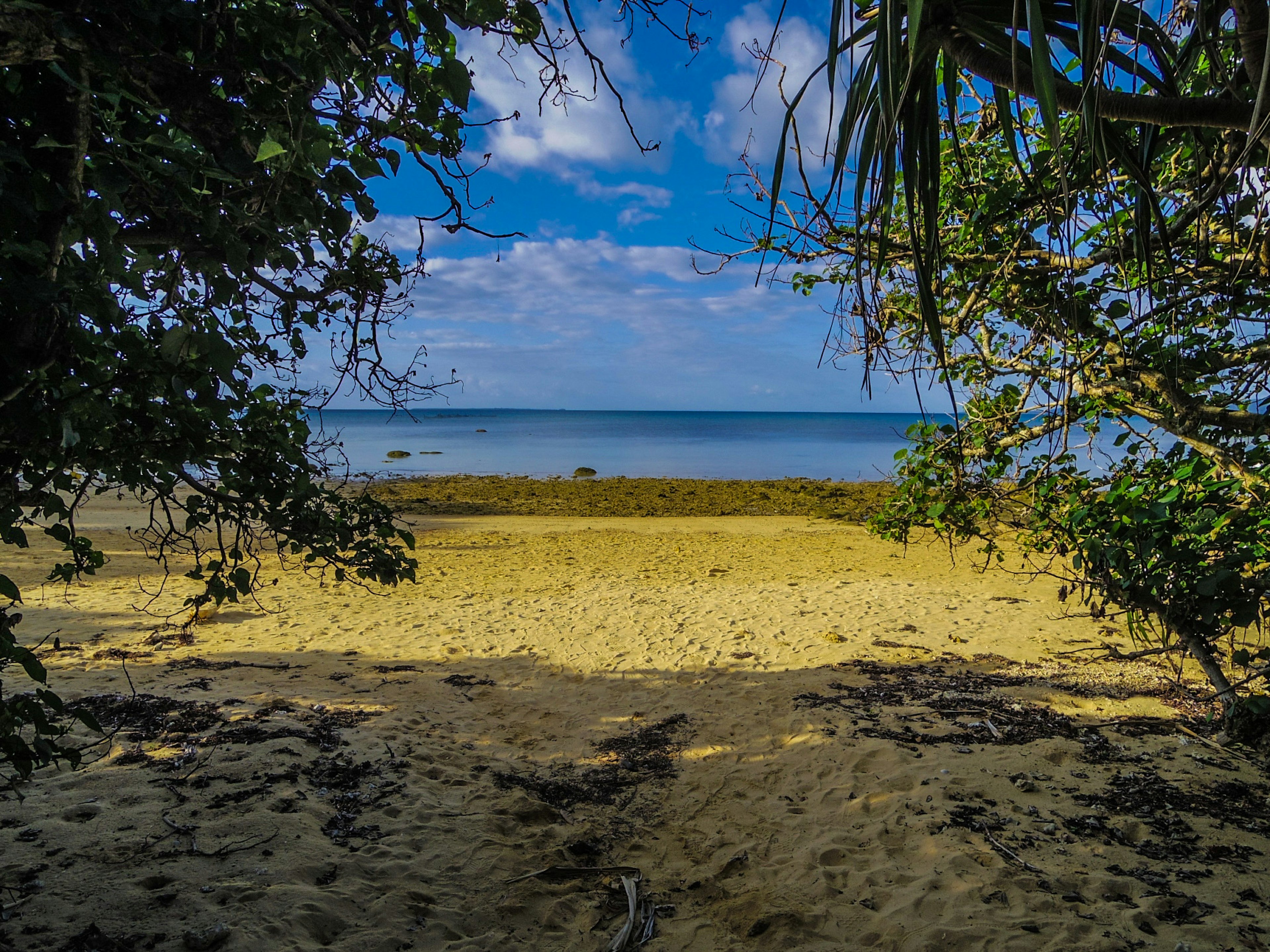 Pemandangan alam menampilkan pantai dan lautan