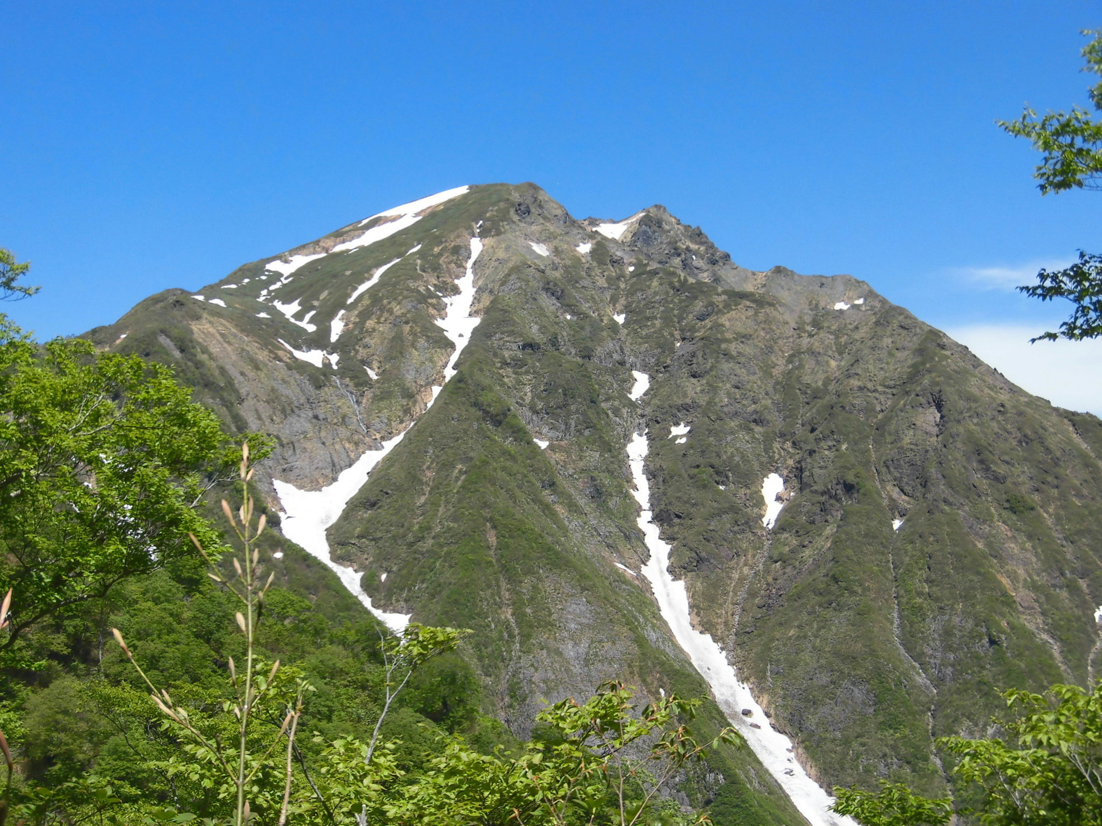 緑の木々に囲まれた雪の残る山の風景