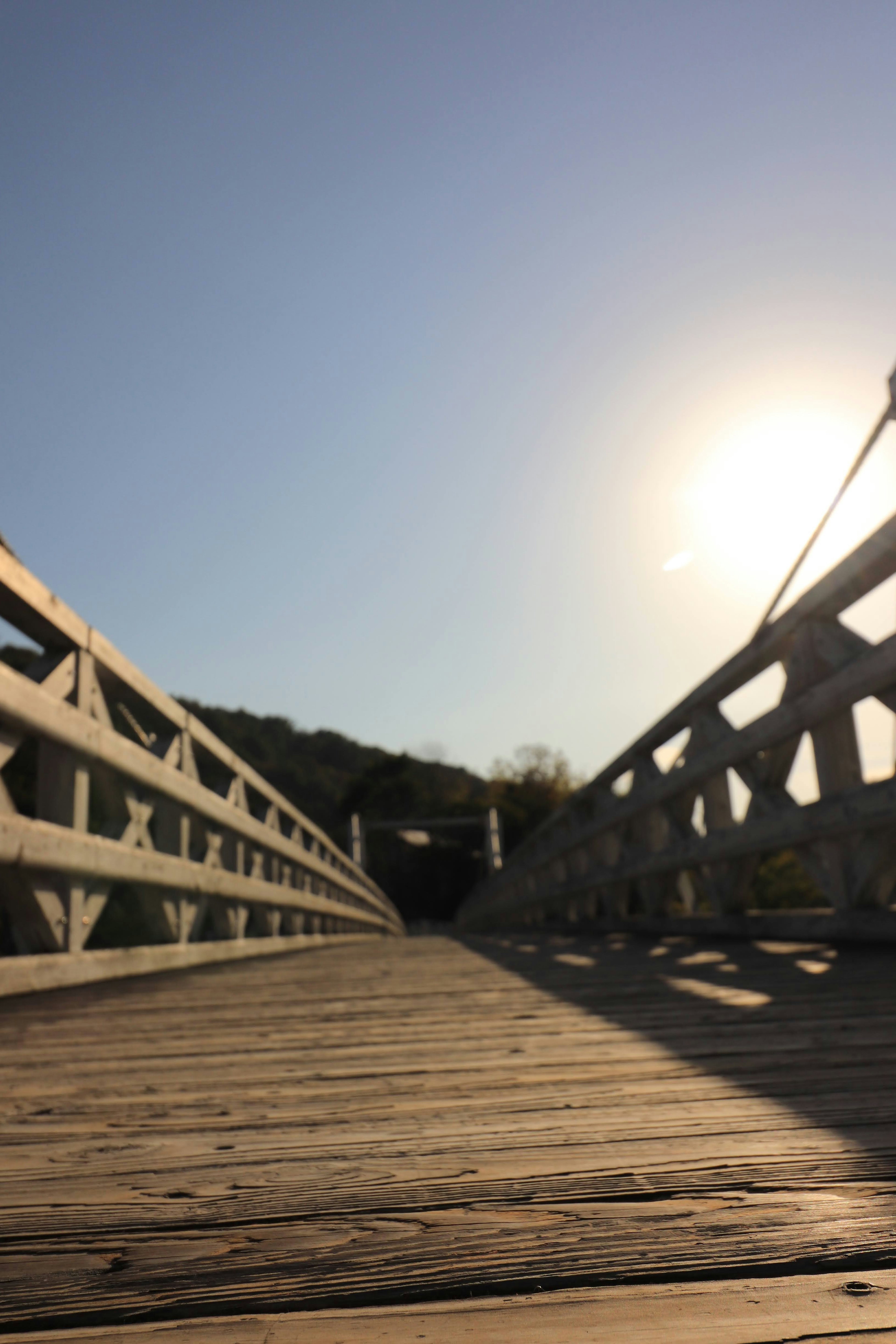 Wooden bridge perspective with sunlight and lush greenery