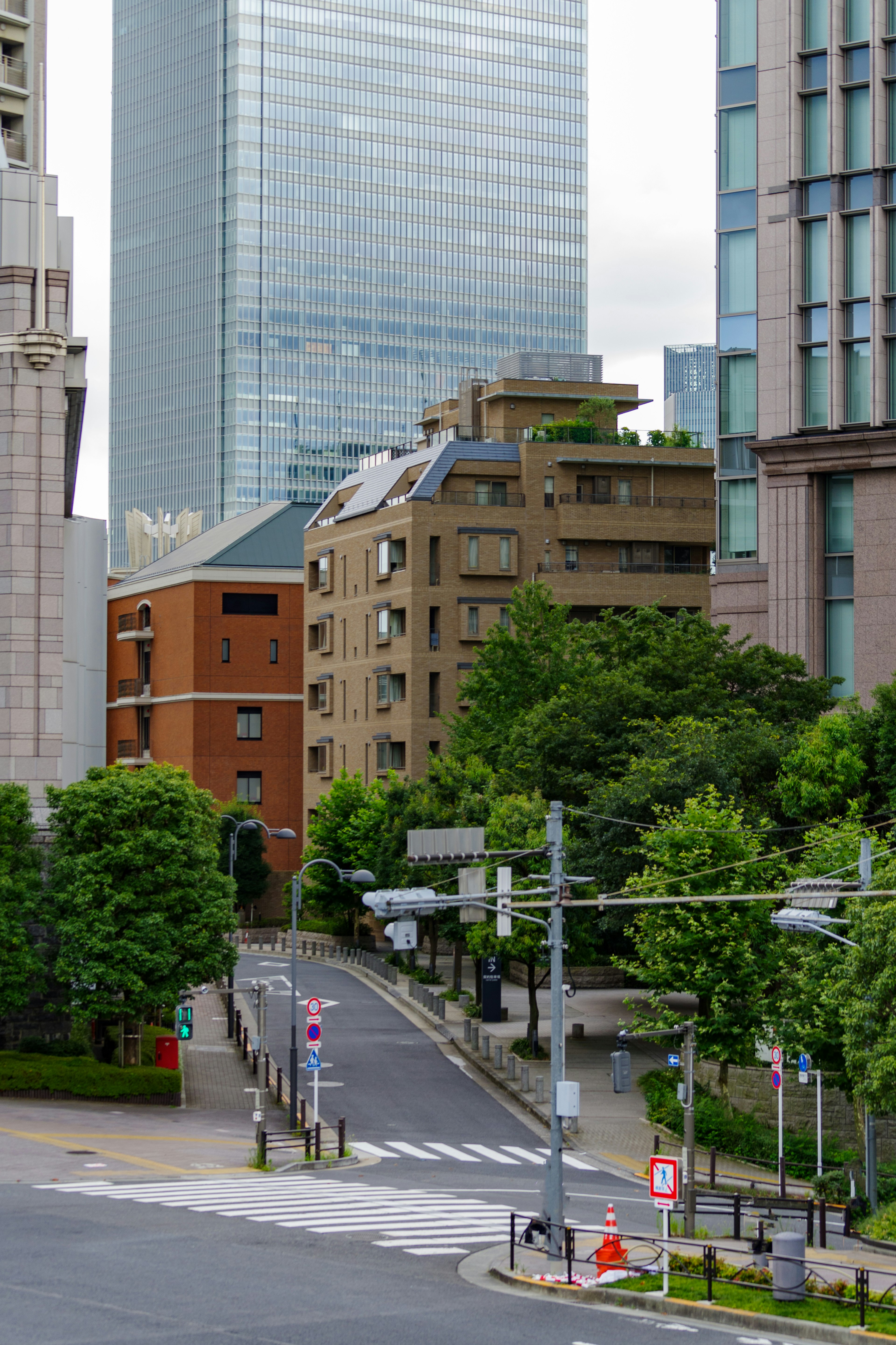 城市景观包含郁郁葱葱的绿地和现代摩天大楼