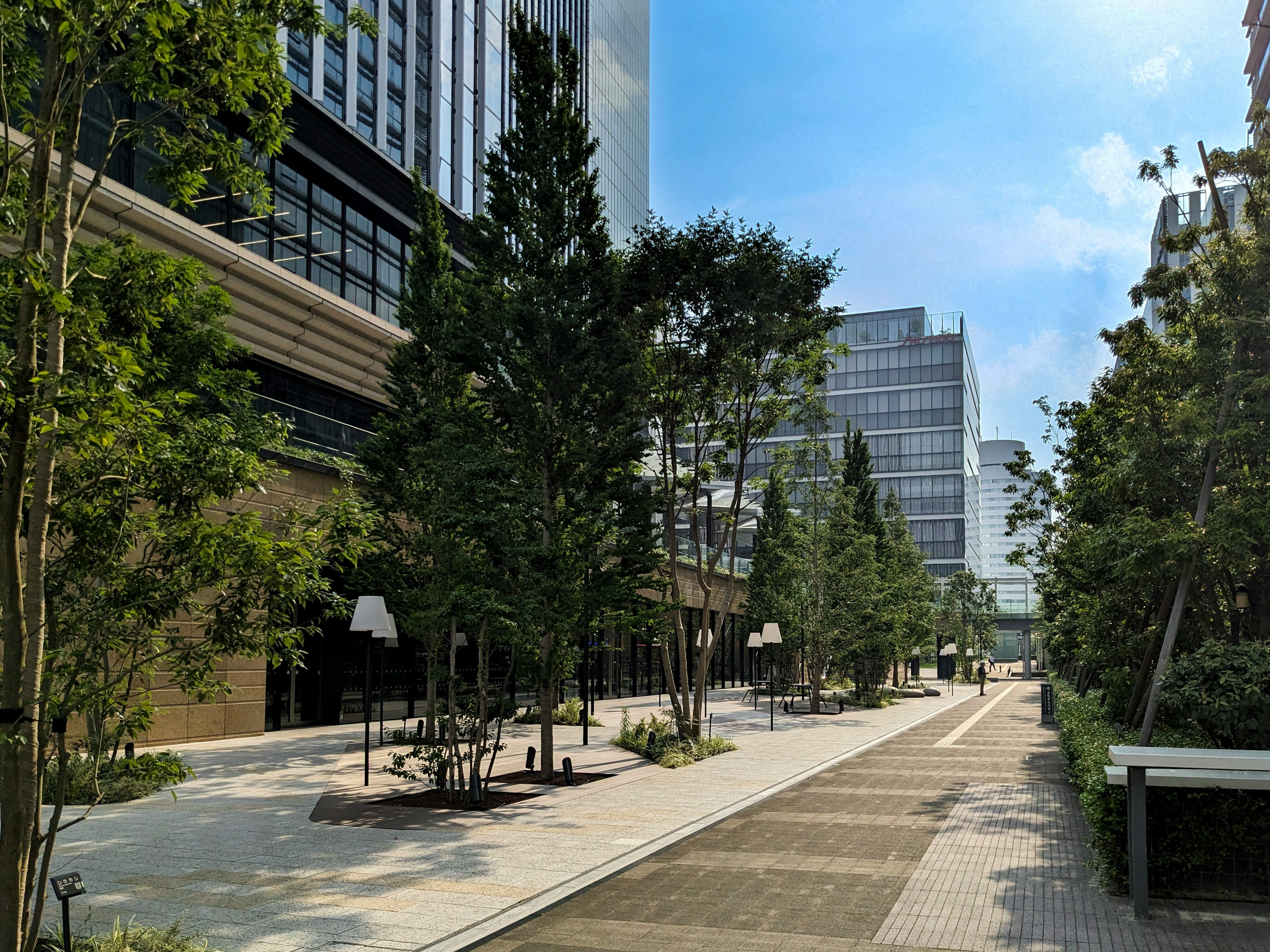 Modern street lined with greenery and buildings