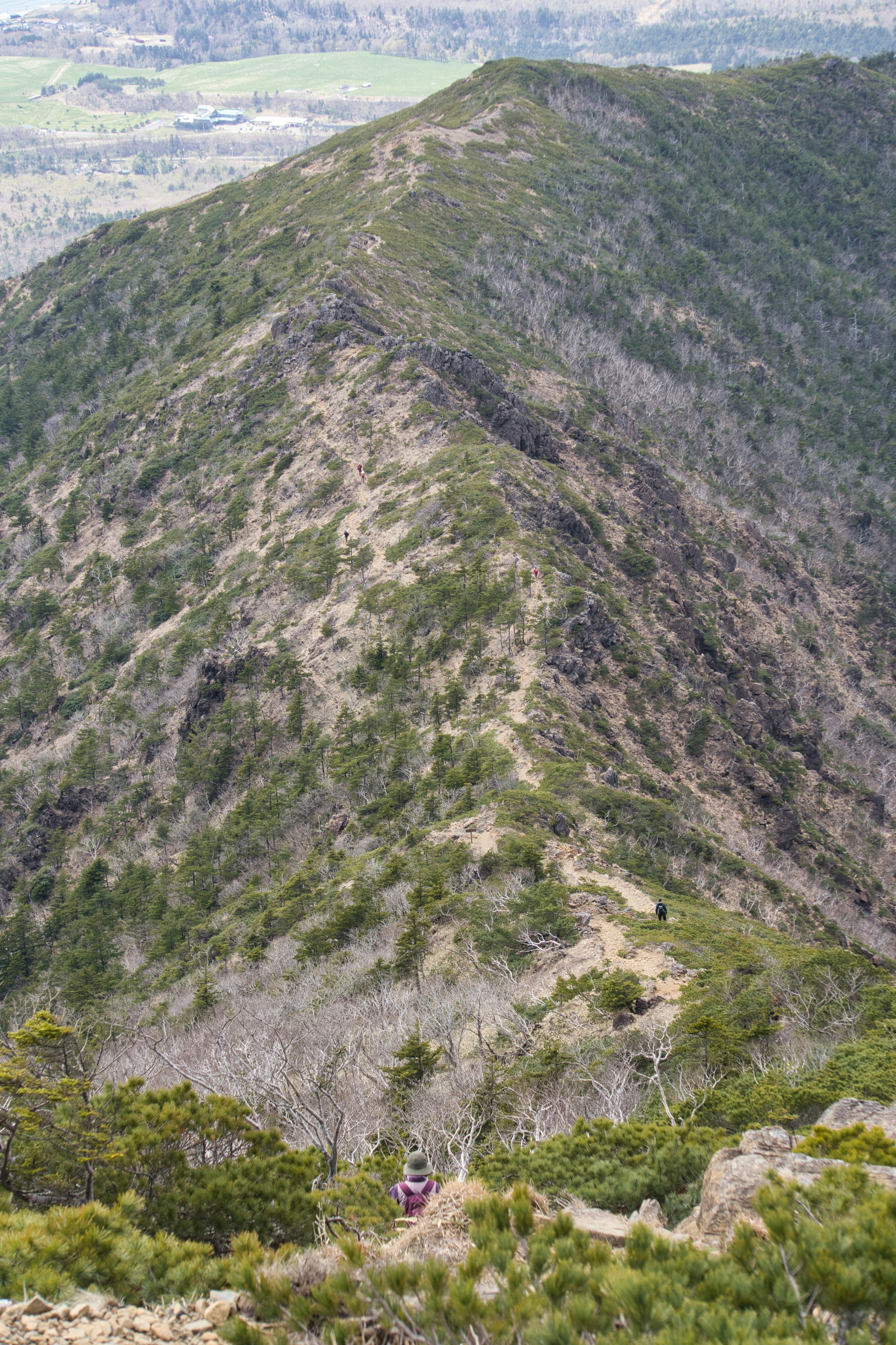 山脊与绿植和一名徒步旅行者