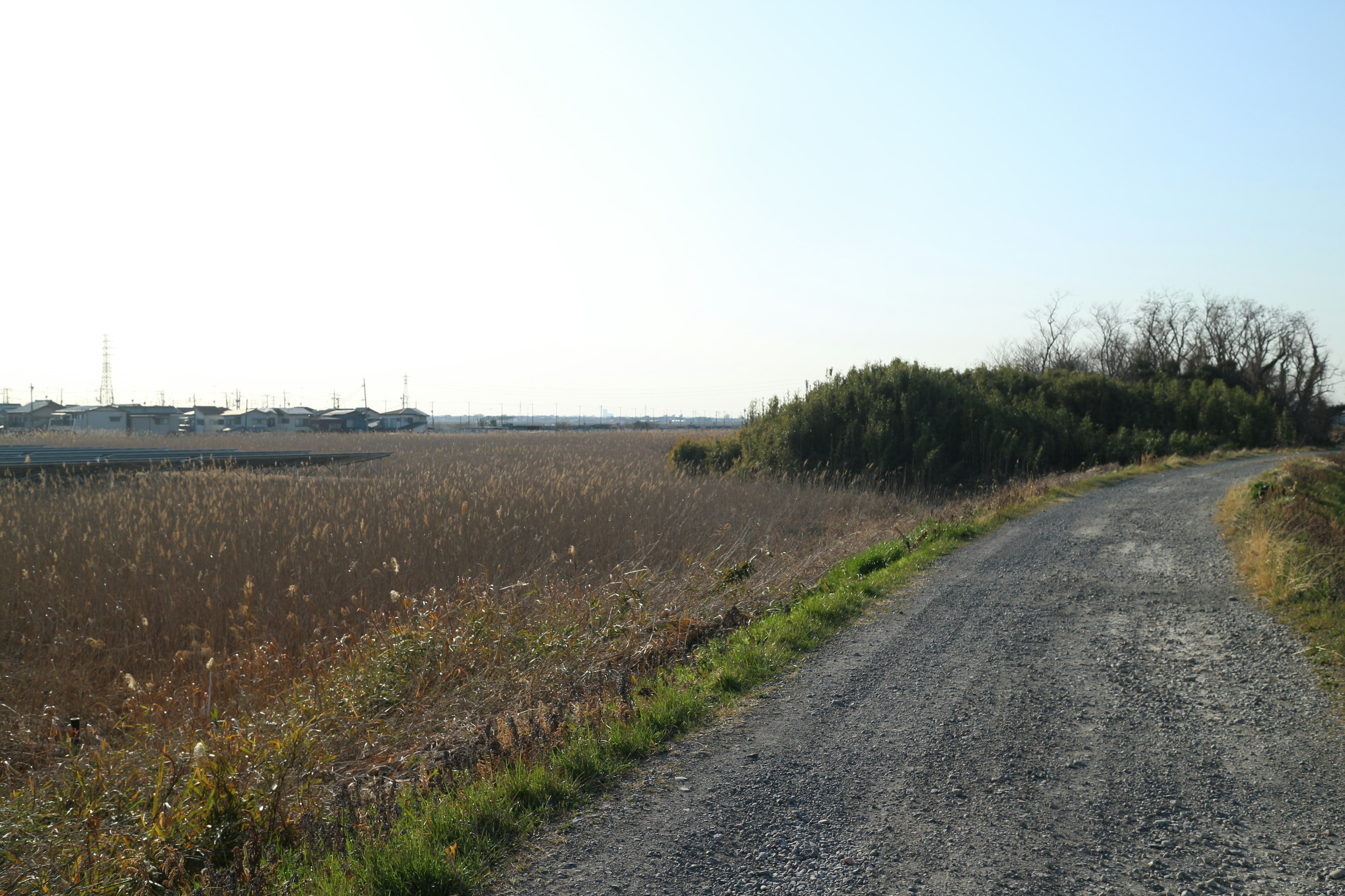 Un chemin de gravier serein le long de vastes prairies