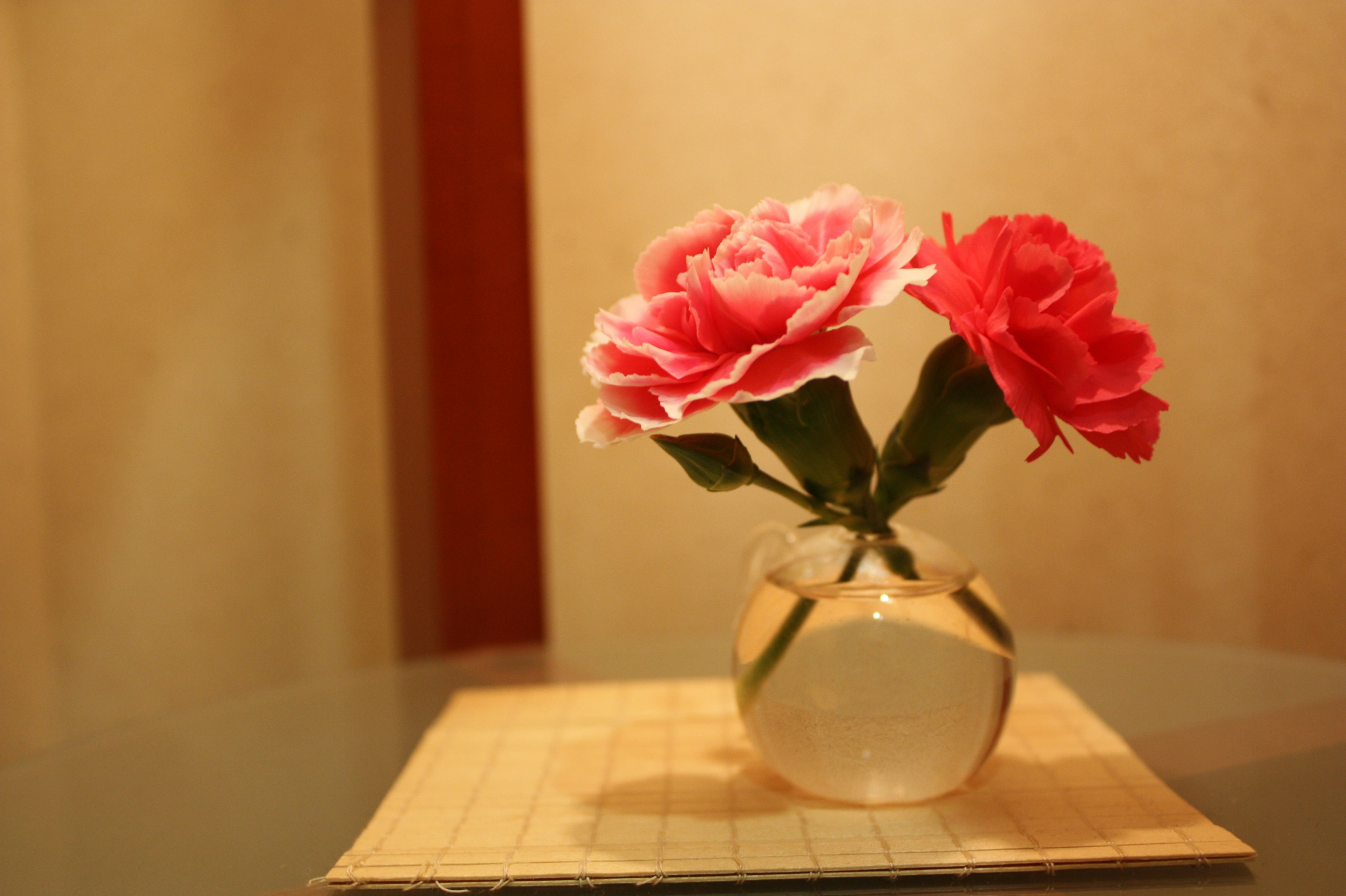 Petit vase en verre avec des œillets rouges et roses