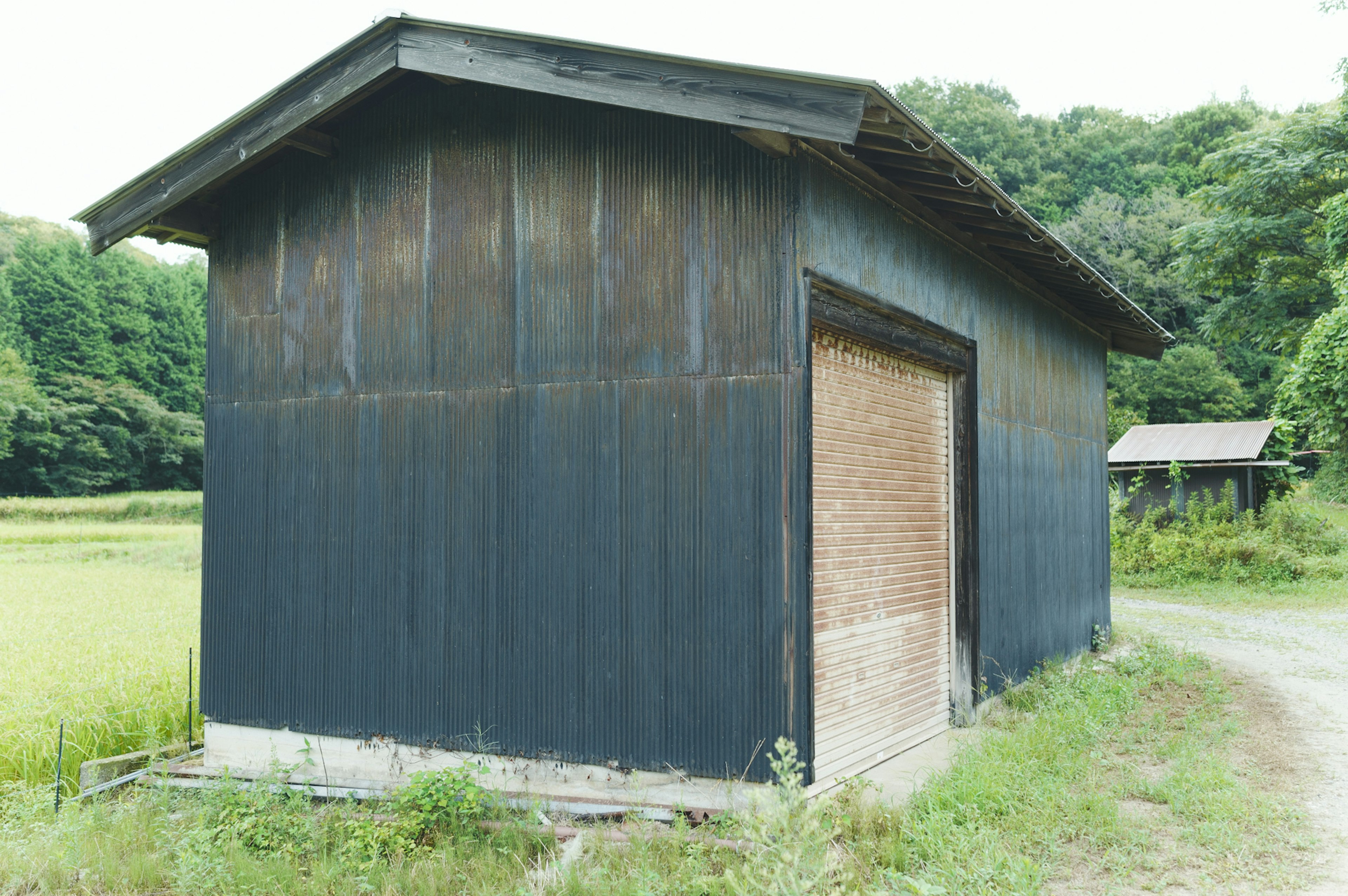 田んぼの近くにある黒い小屋と緑の木々