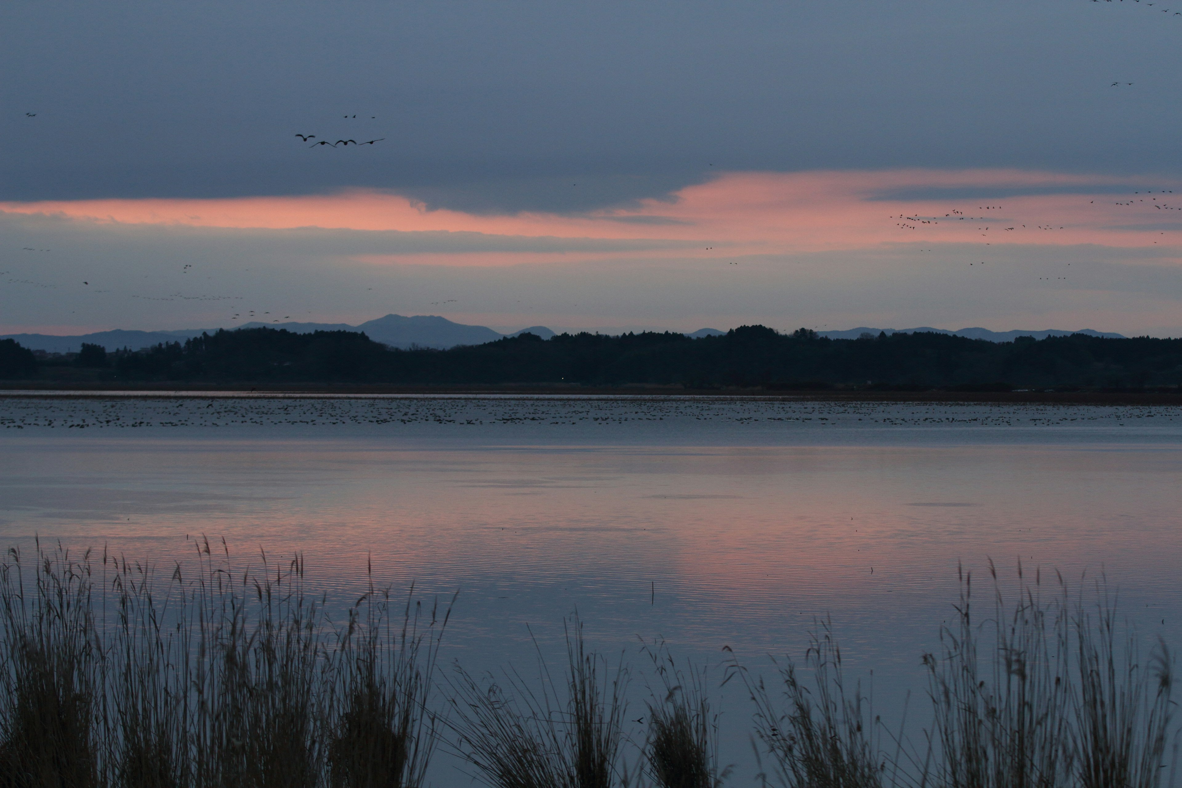 Lago sereno con delicate sfumature di crepuscolo che si riflettono sull'acqua