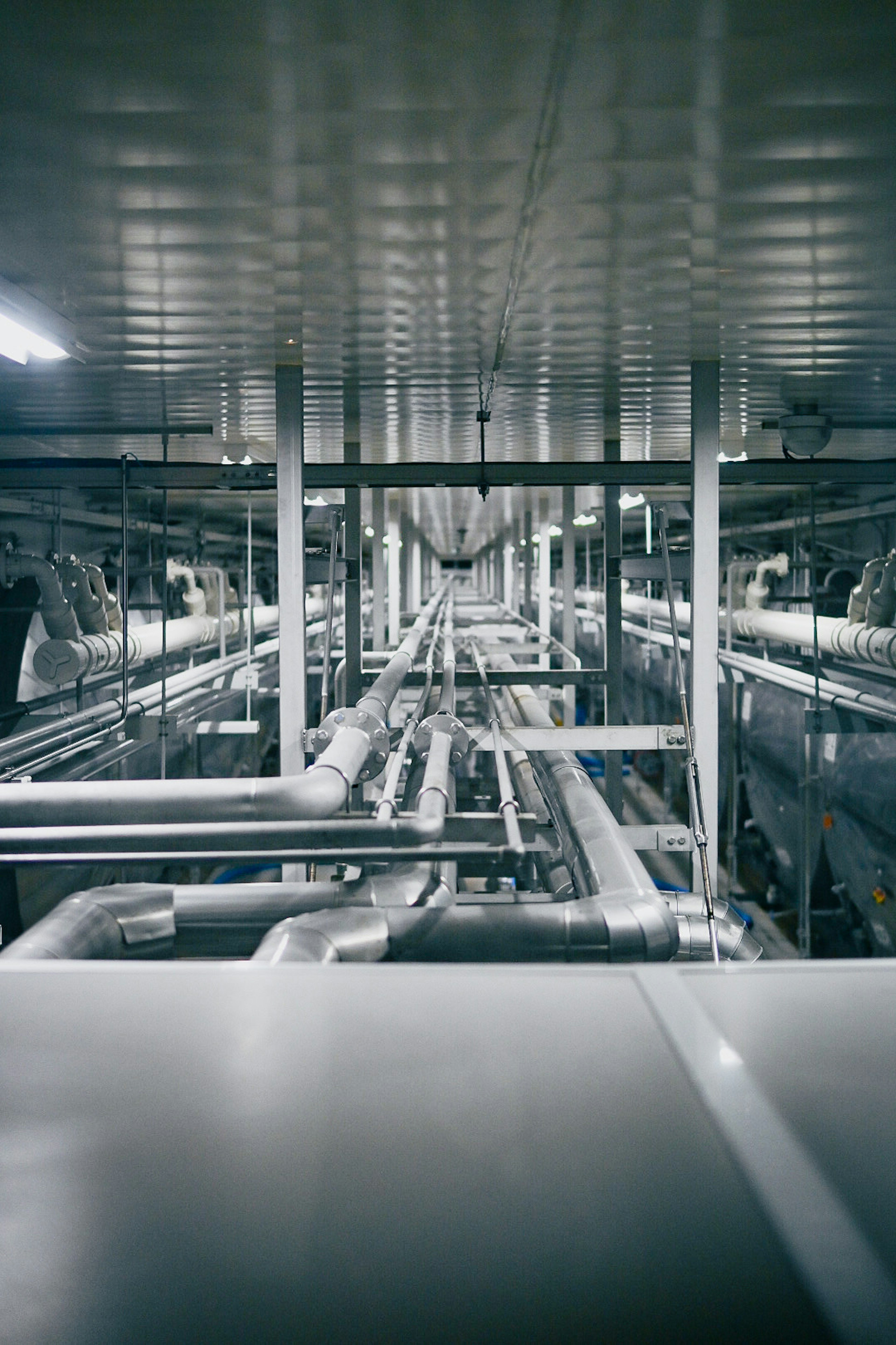 Immagine che mostra un complesso sistema di tubi e macchinari in una fabbrica