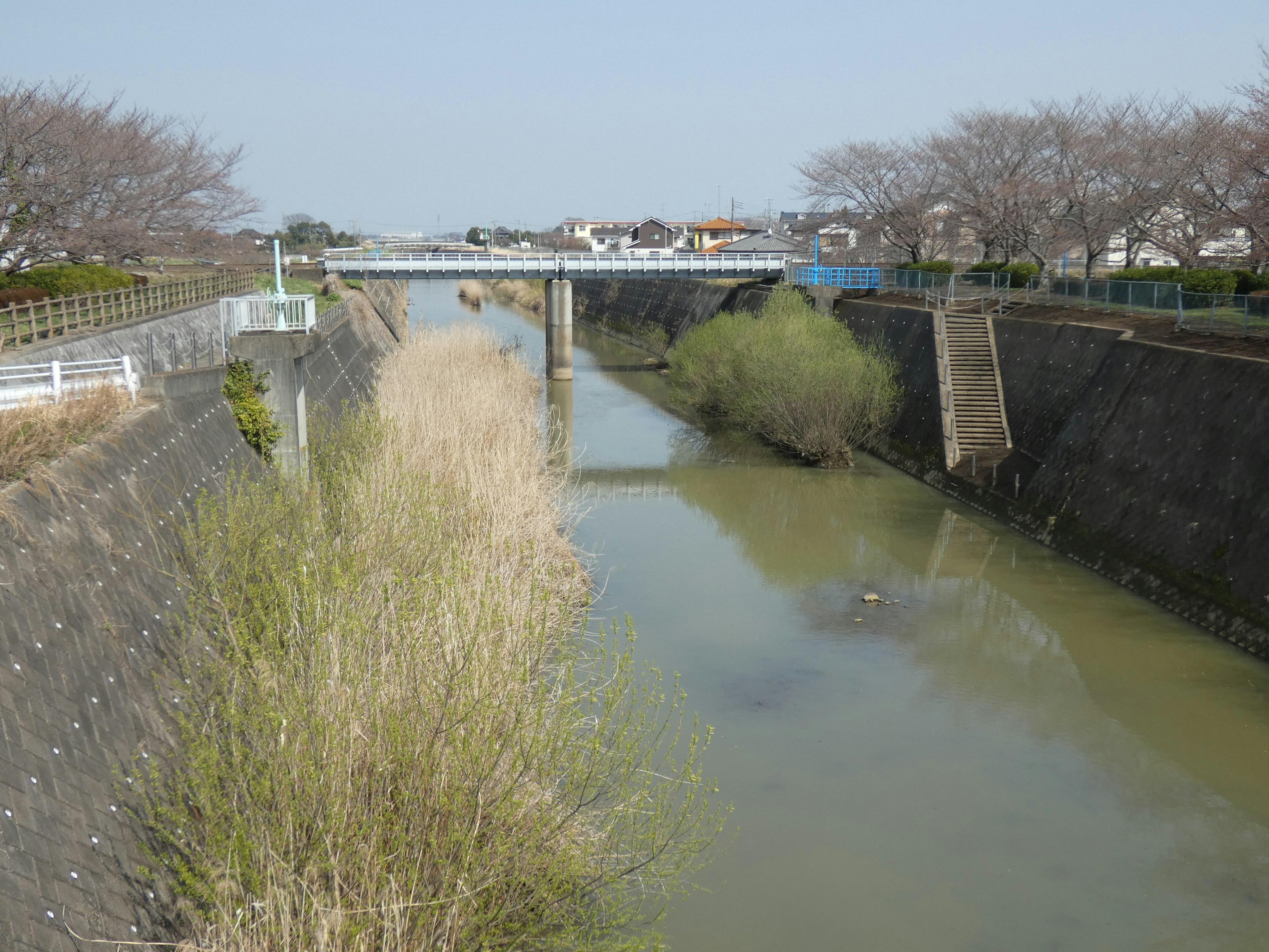 Escena de río tranquilo con un puente rodeado de árboles en flor de cerezo