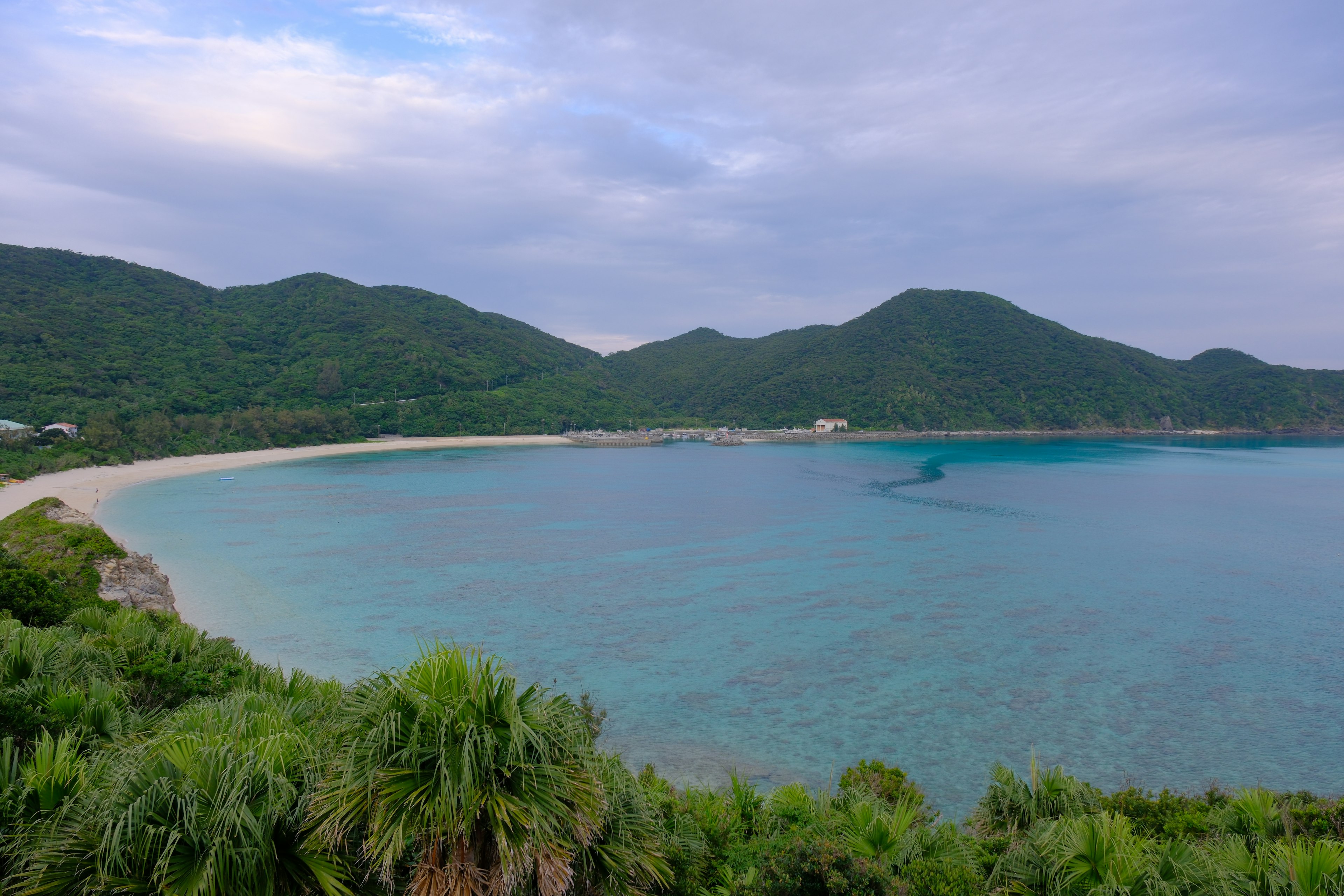 青い海と緑の山々が広がるビーチの風景