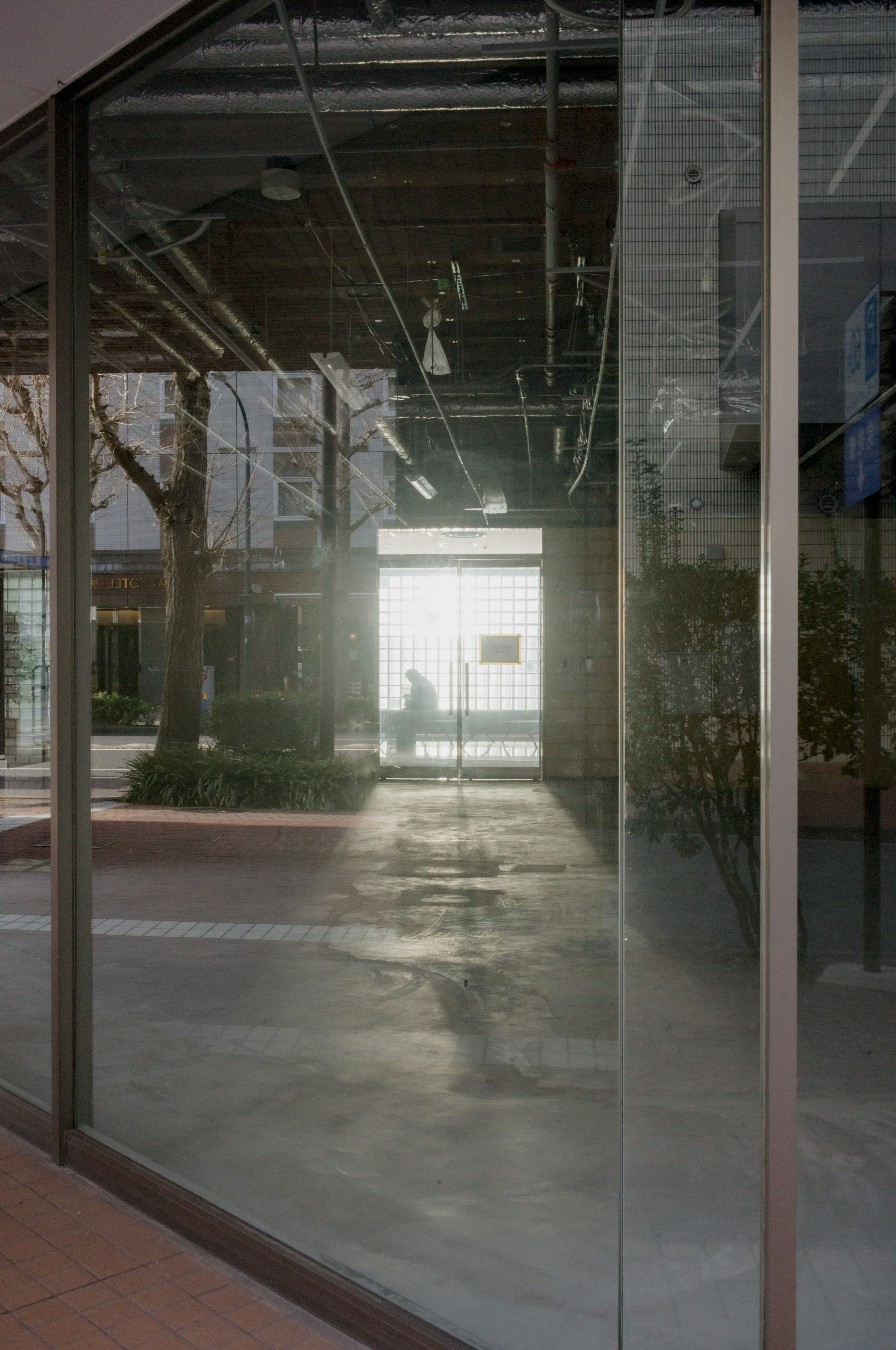 View through glass wall showing bright entrance and surrounding trees