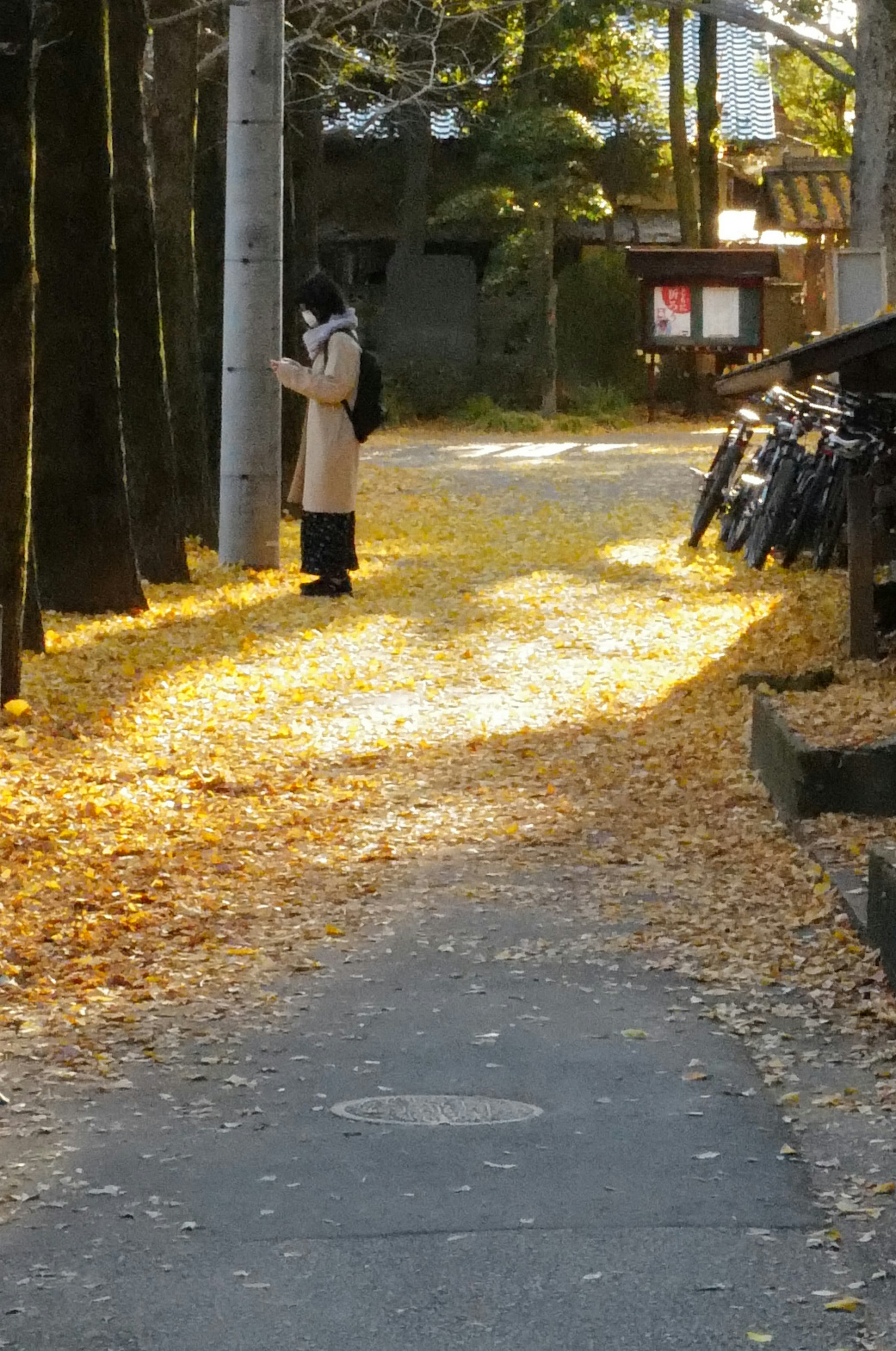 秋の道に立つ人と落ち葉