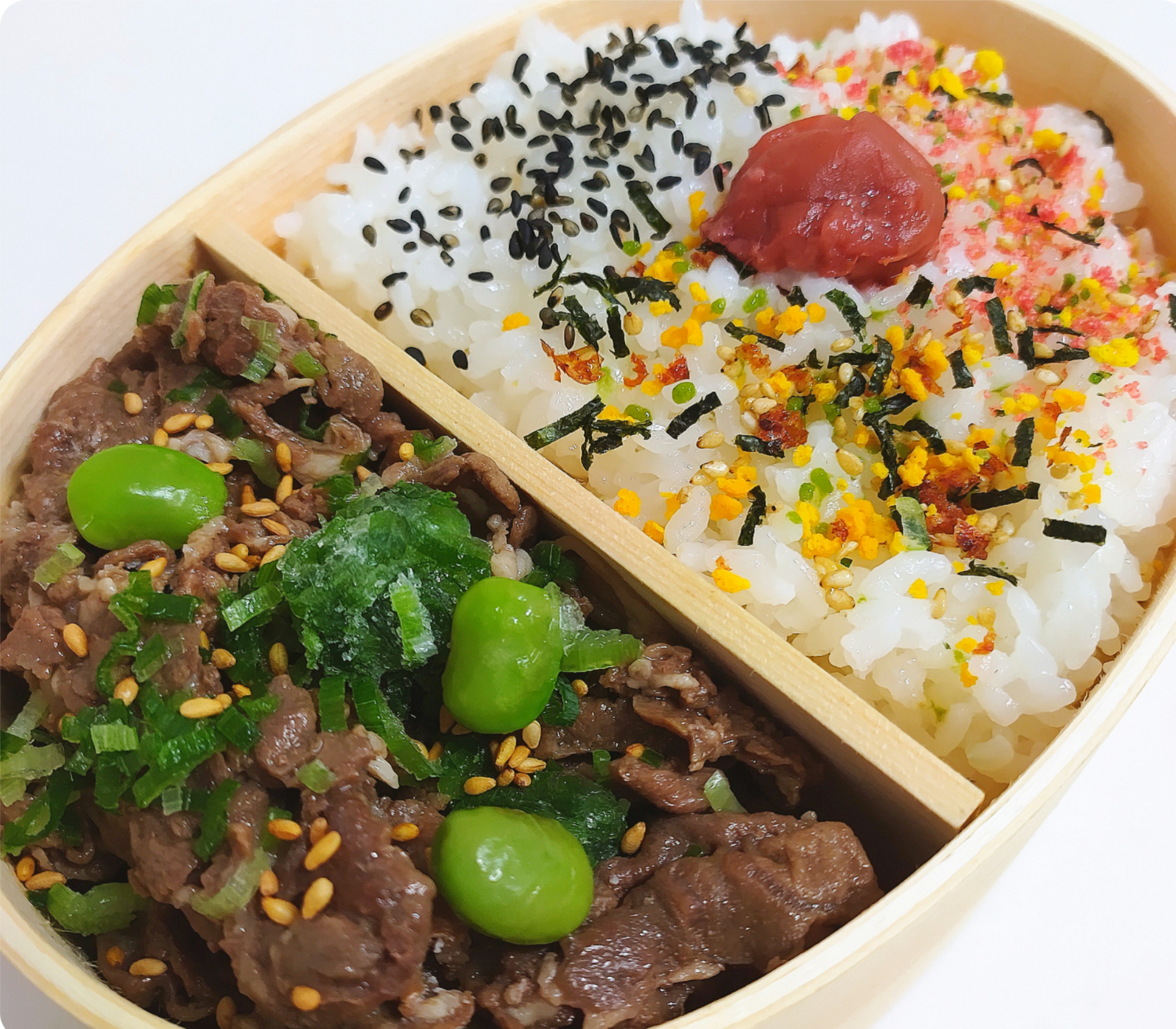 Leckere Bento-Box mit getrenntem Reis und Rindfleischgericht