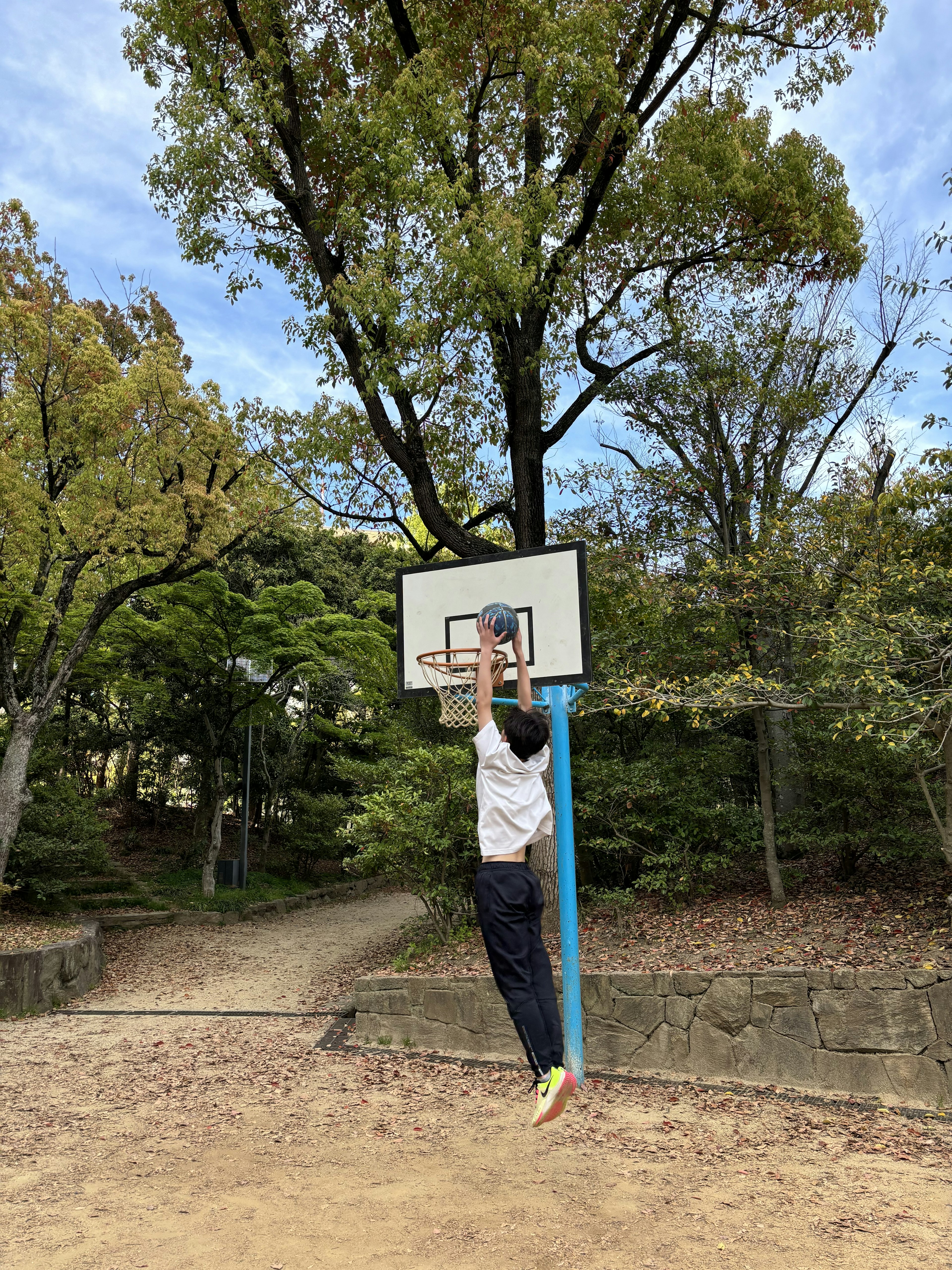 公園のバスケットボールゴールでジャンプしている人物周囲に緑の木々