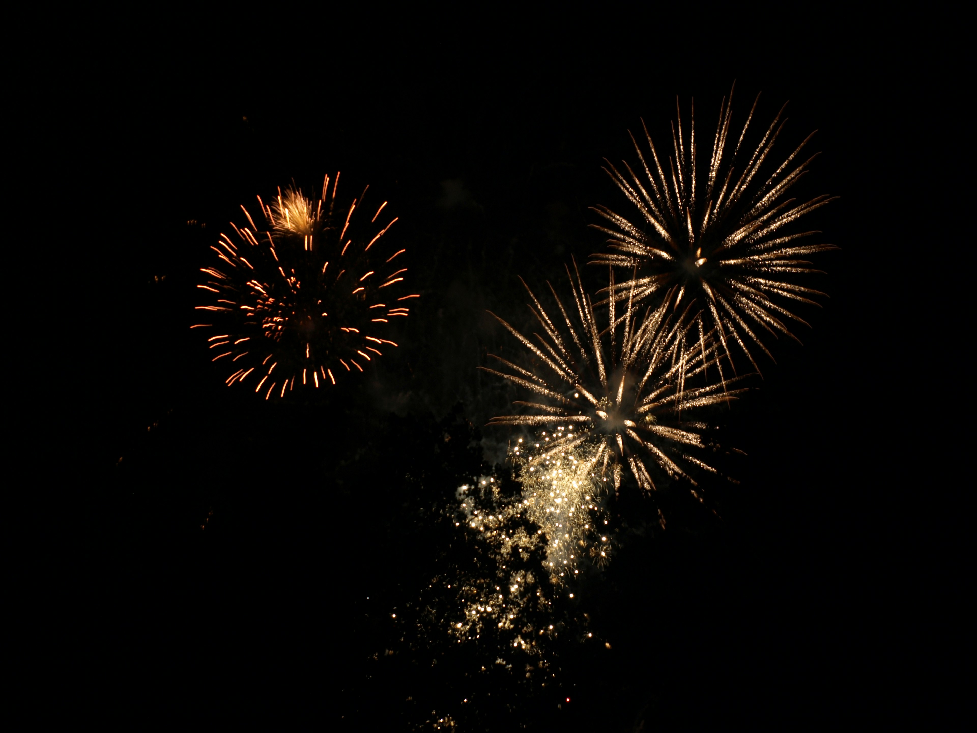 Feu d'artifice dans le ciel nocturne