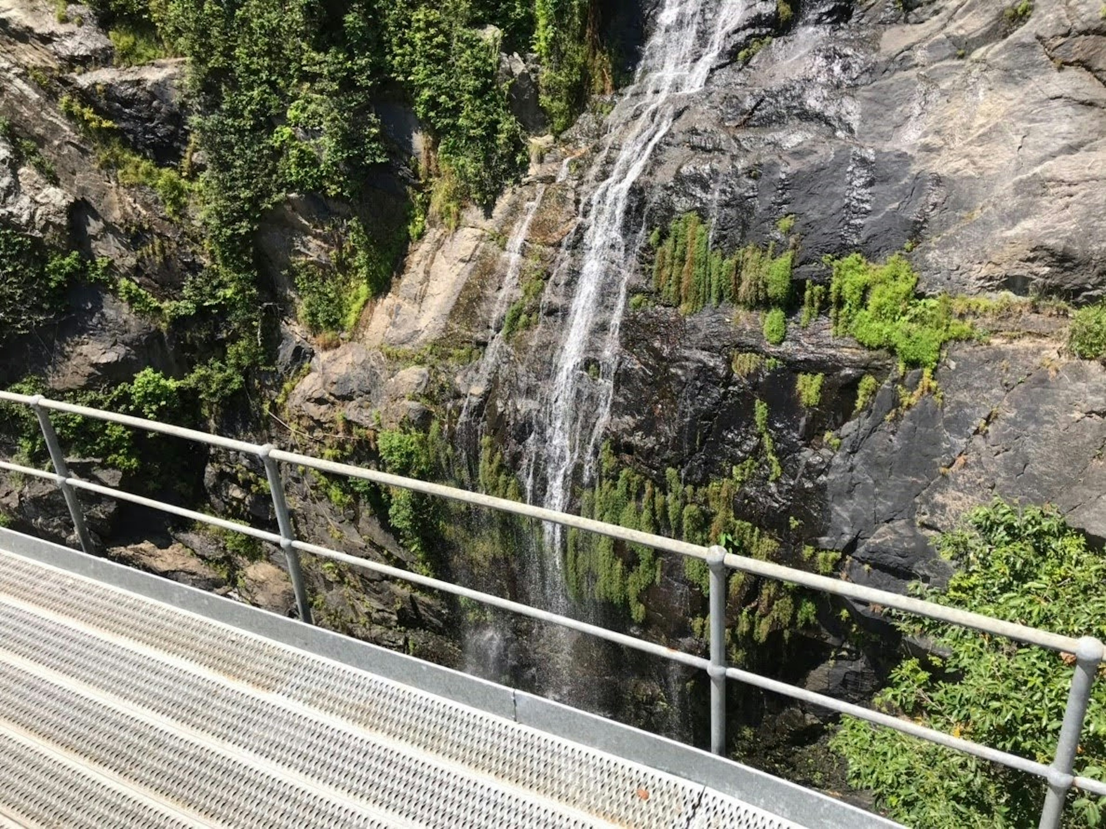 美しい滝が岩と緑の背景に流れる風景