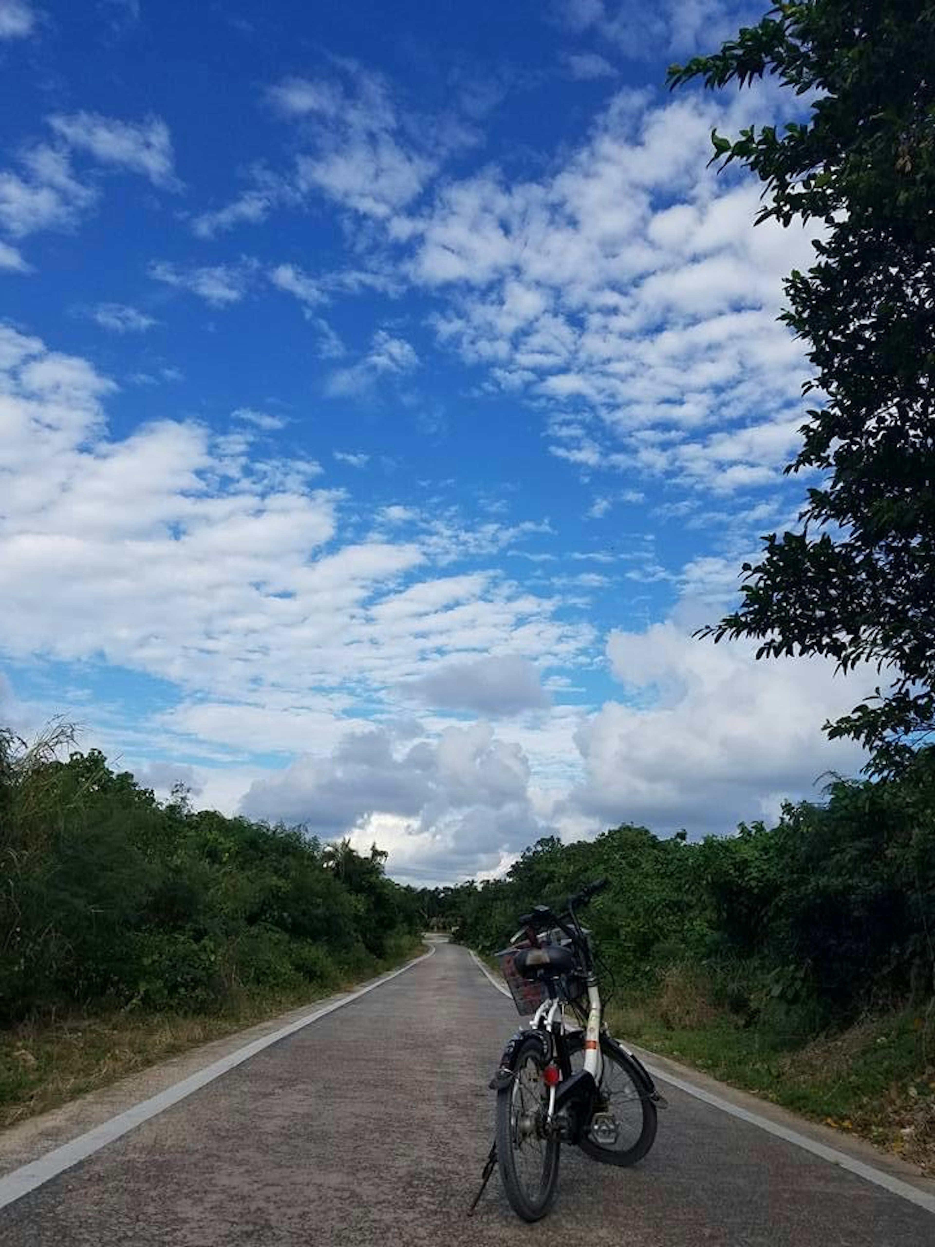 Bicycle parked beside a paved road under a blue sky with clouds