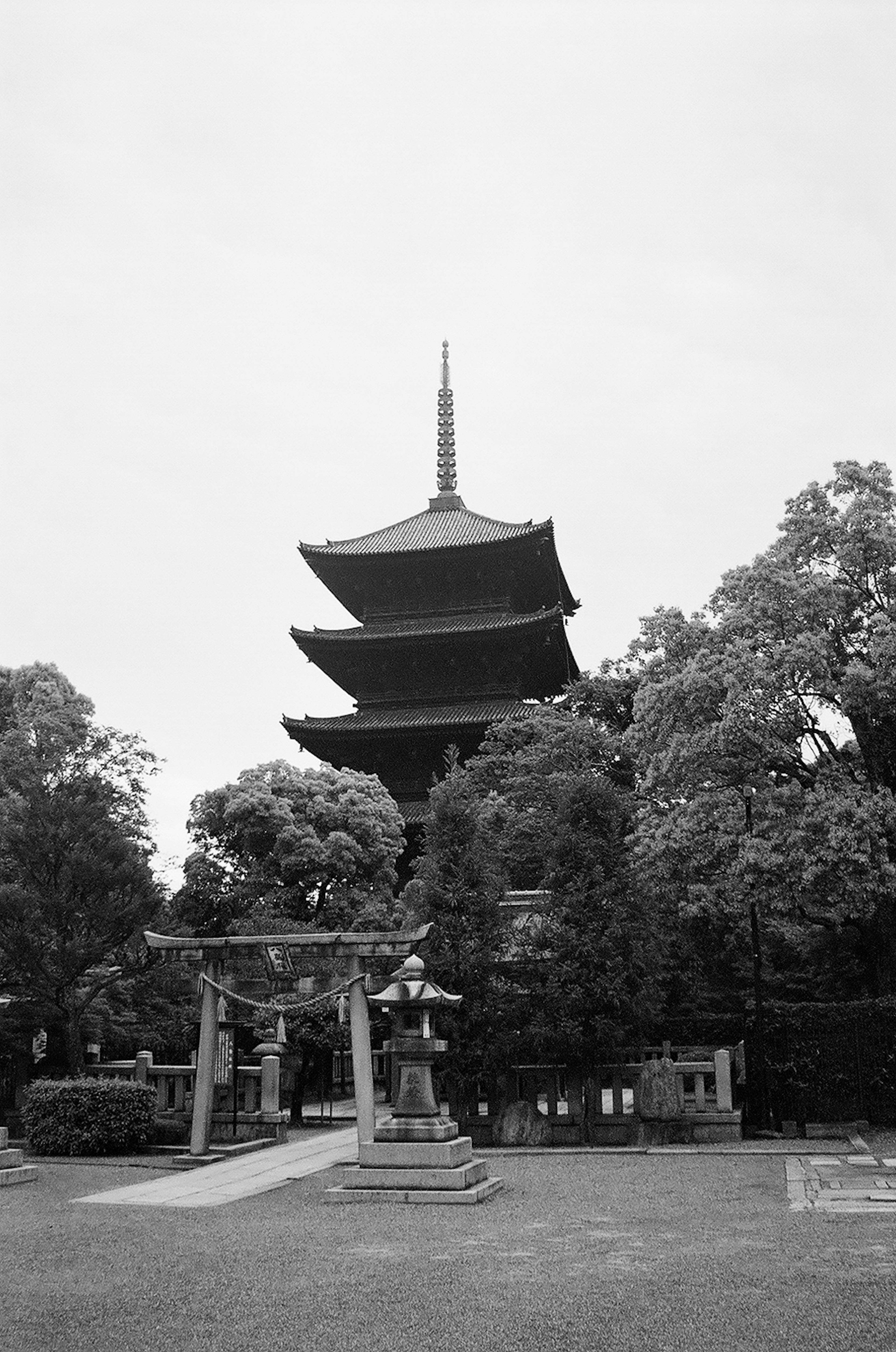 Five-story pagoda surrounded by trees