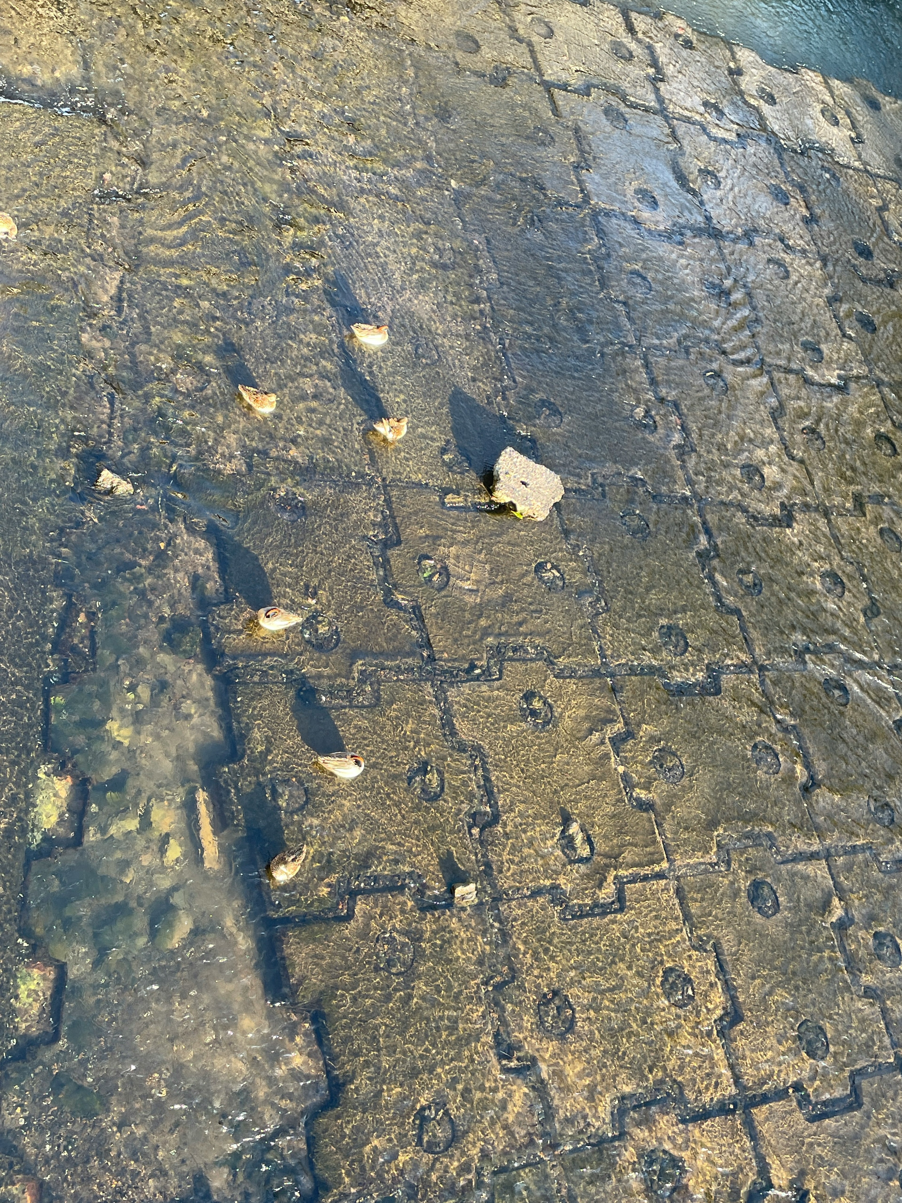 Image d'une surface pavée avec des flaques d'eau et des pierres éparpillées