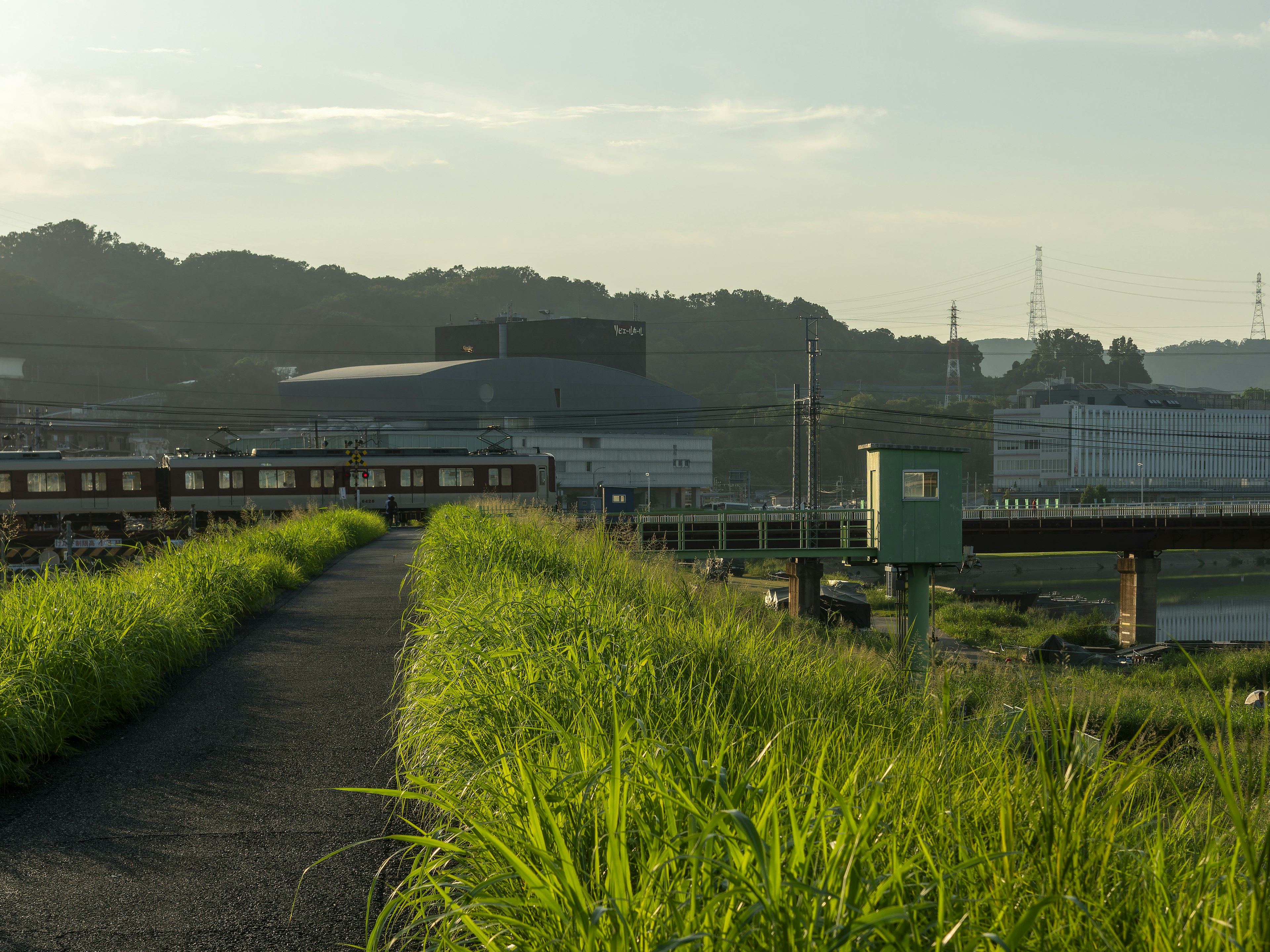 Herbe verte luxuriante le long d'un chemin pavé avec des bâtiments et des collines en arrière-plan