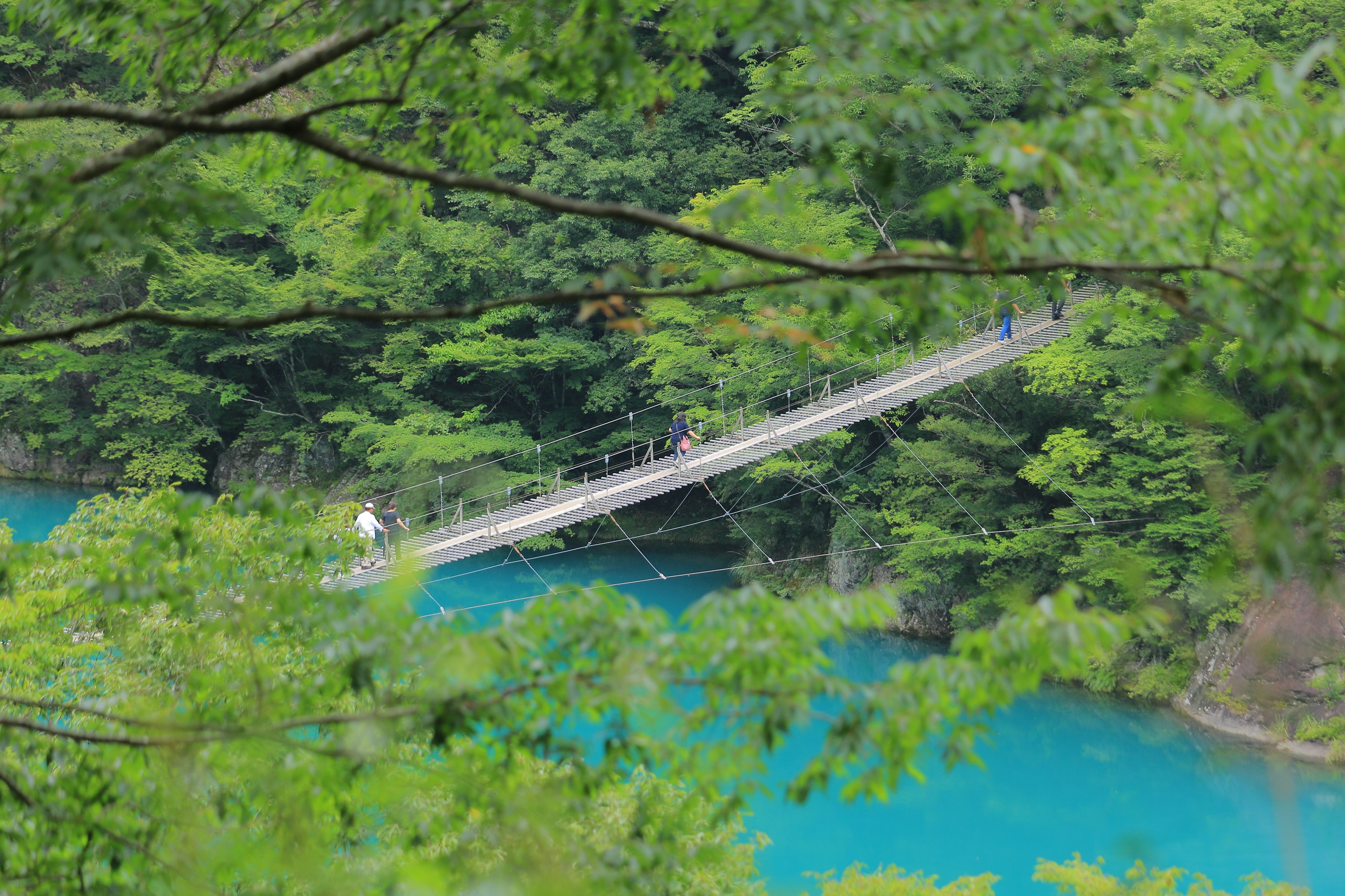 สะพานแขวนที่ถูกล้อมรอบด้วยต้นไม้เขียวขจีและน้ำสีเทอร์ควอยซ์