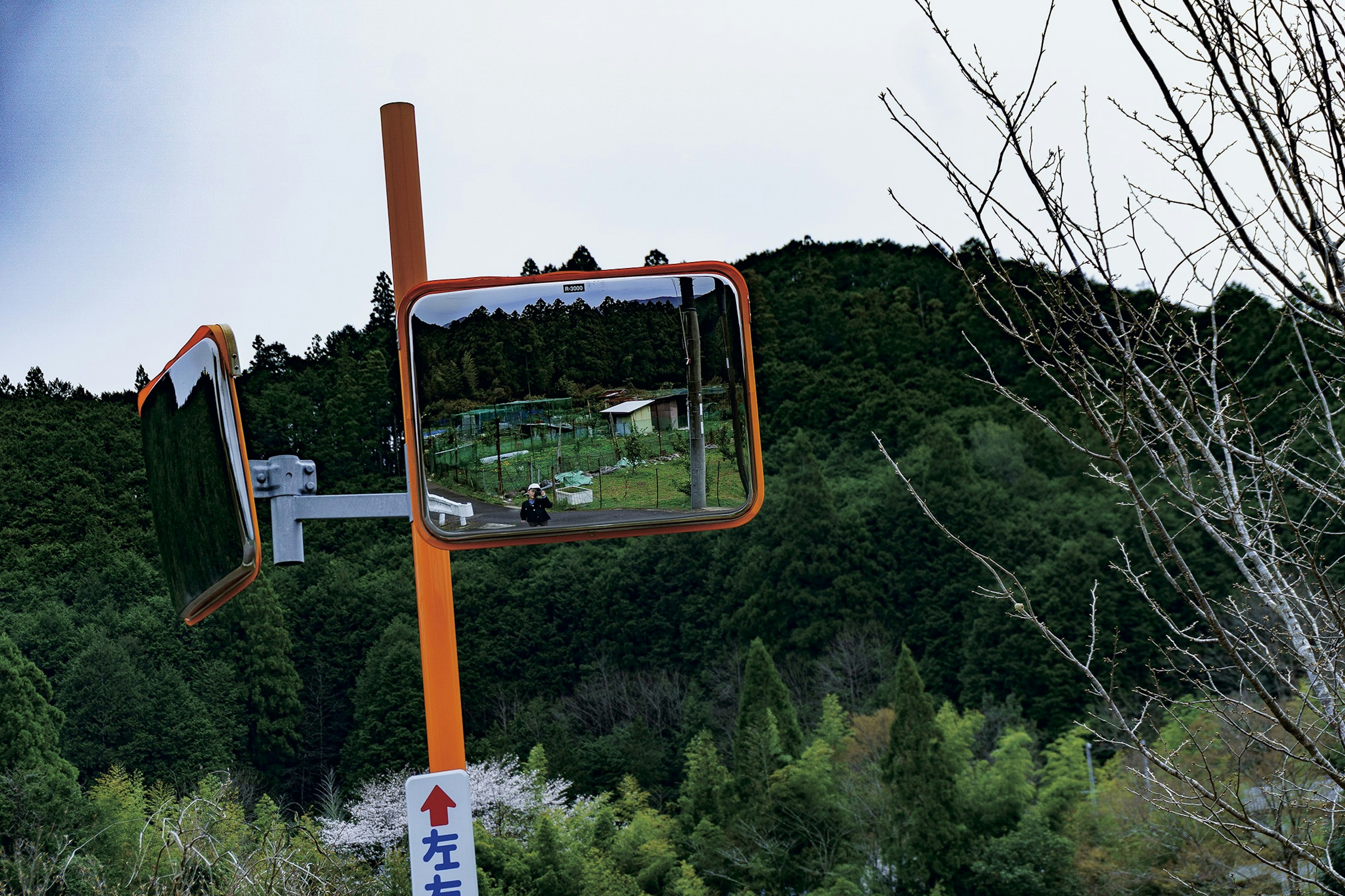 Traffic mirror reflecting a mountain landscape and surrounding nature