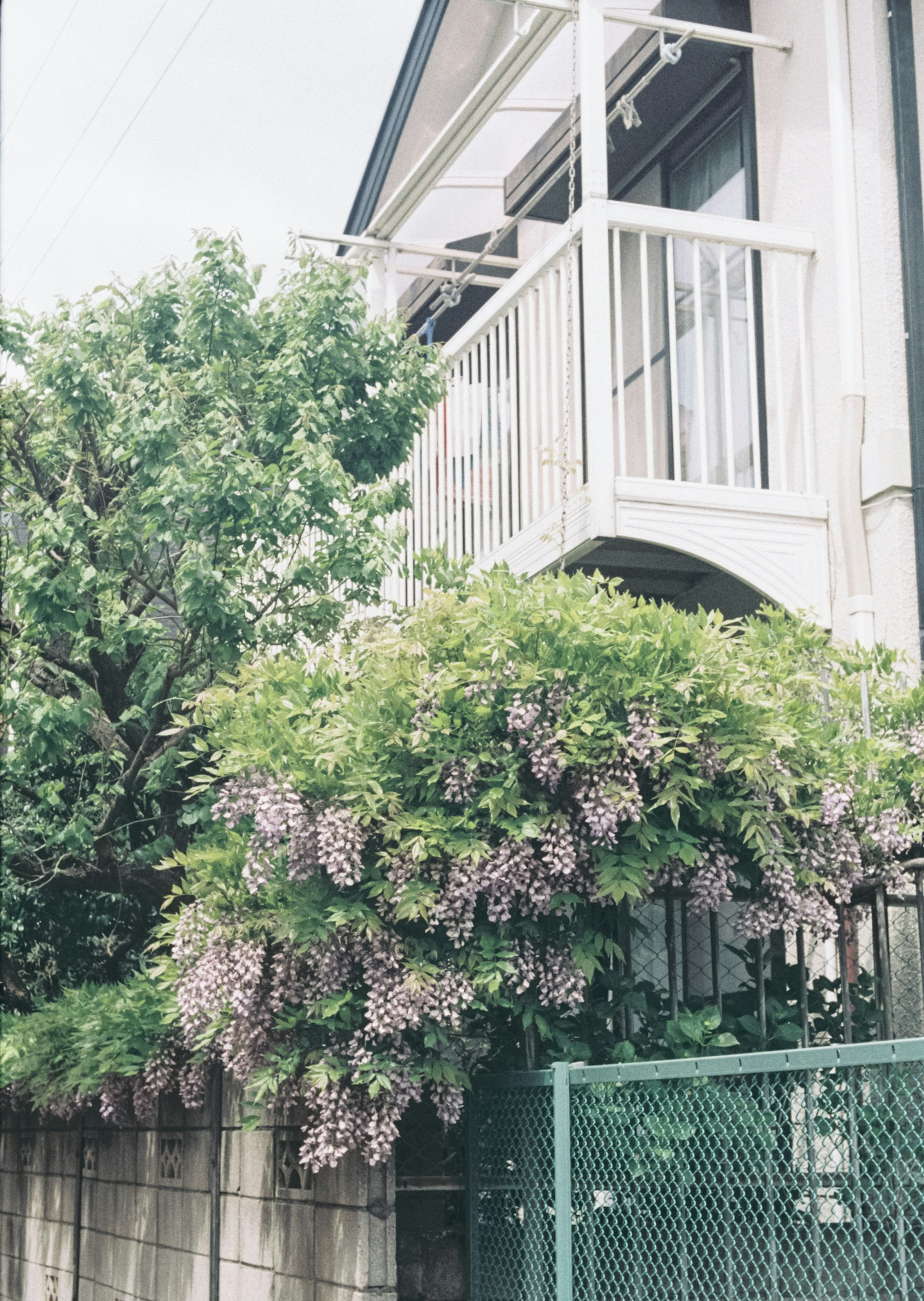 白いバルコニーと紫の花が咲く植物がある家の外観