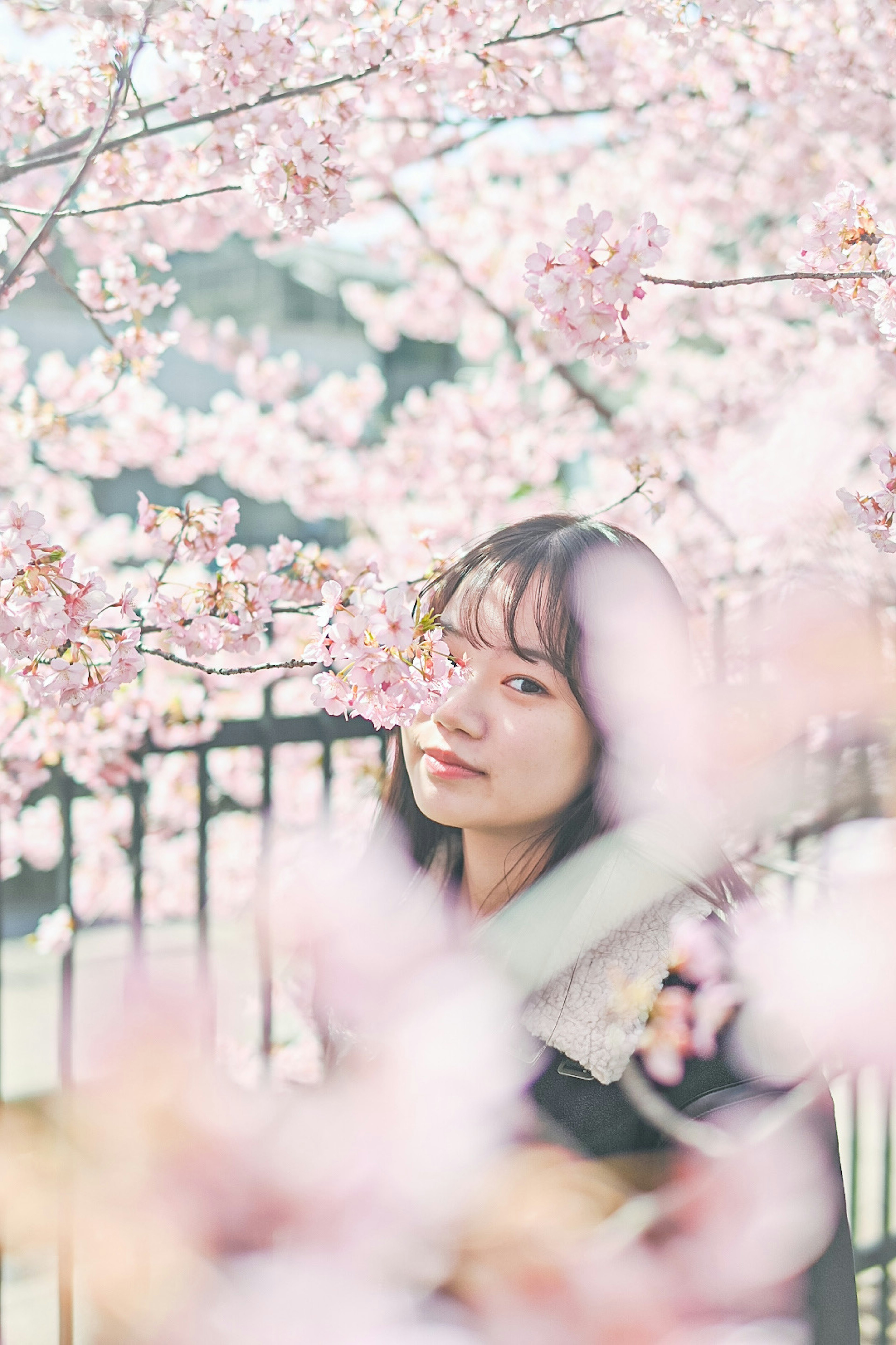 Portrait d'une femme parmi des cerisiers en fleurs