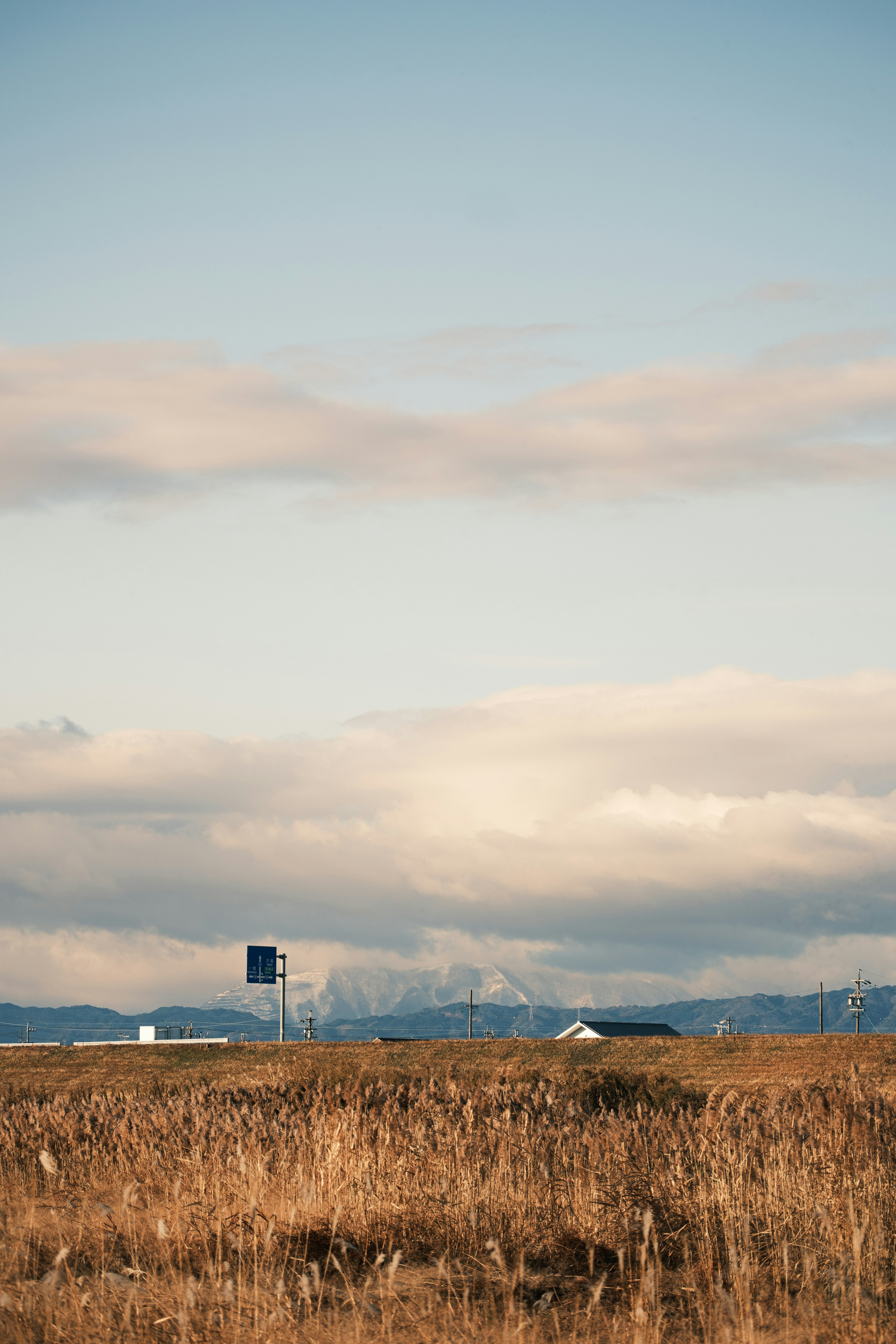 Vast grassland with a water tower and distant mountains