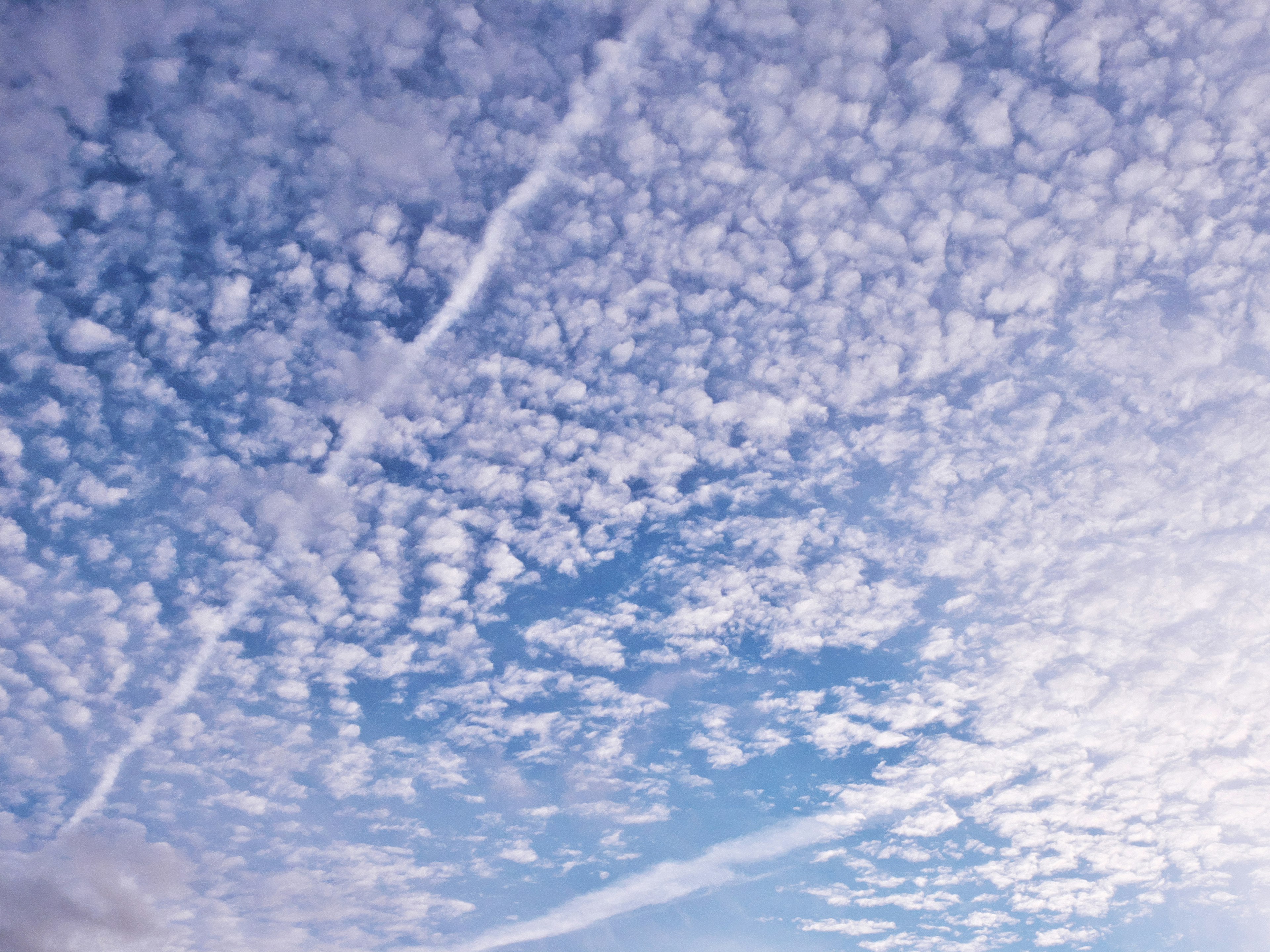 Un ciel vaste rempli de nuages blancs et de teintes bleues