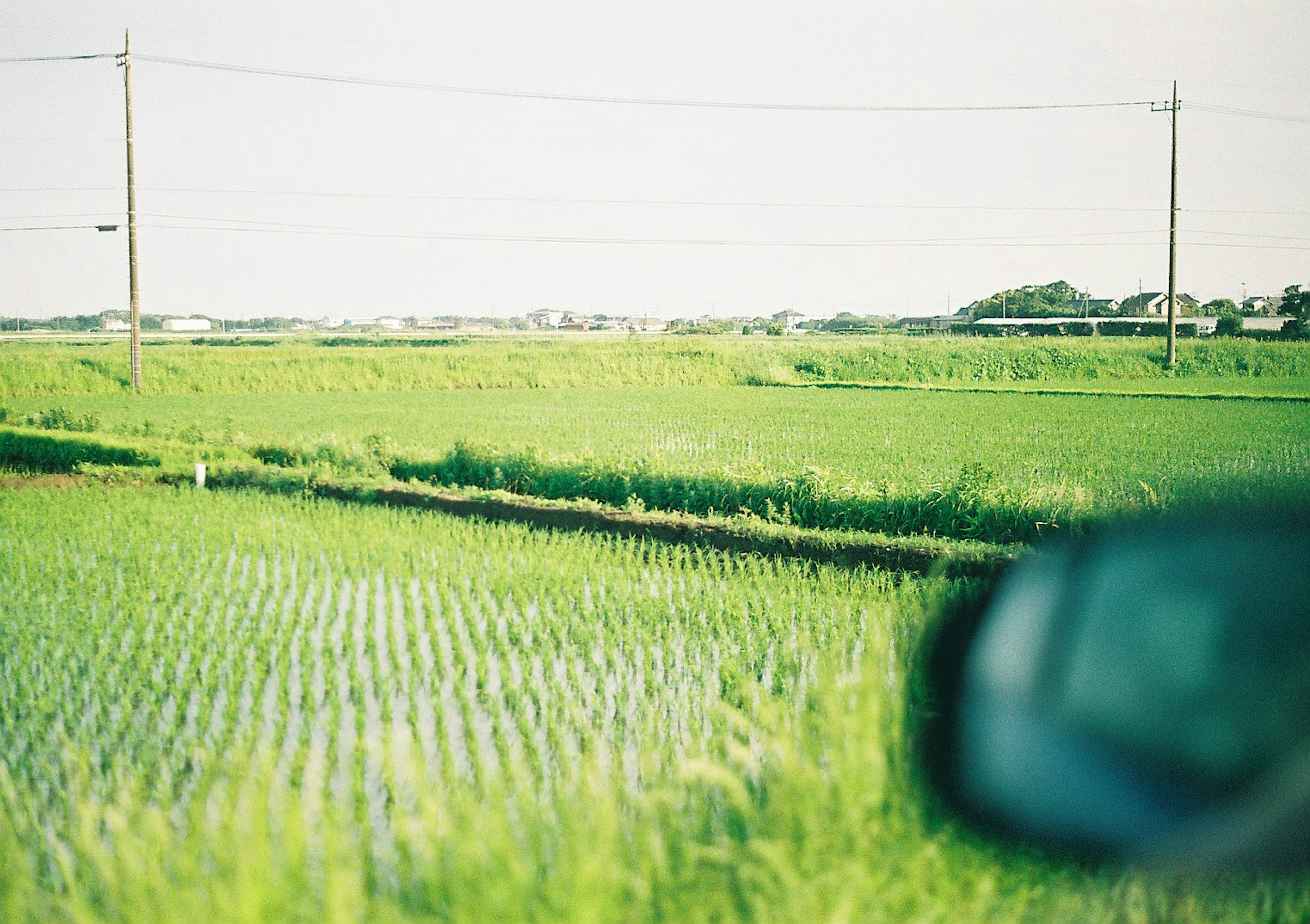 Lush green rice fields with a distant rural landscape