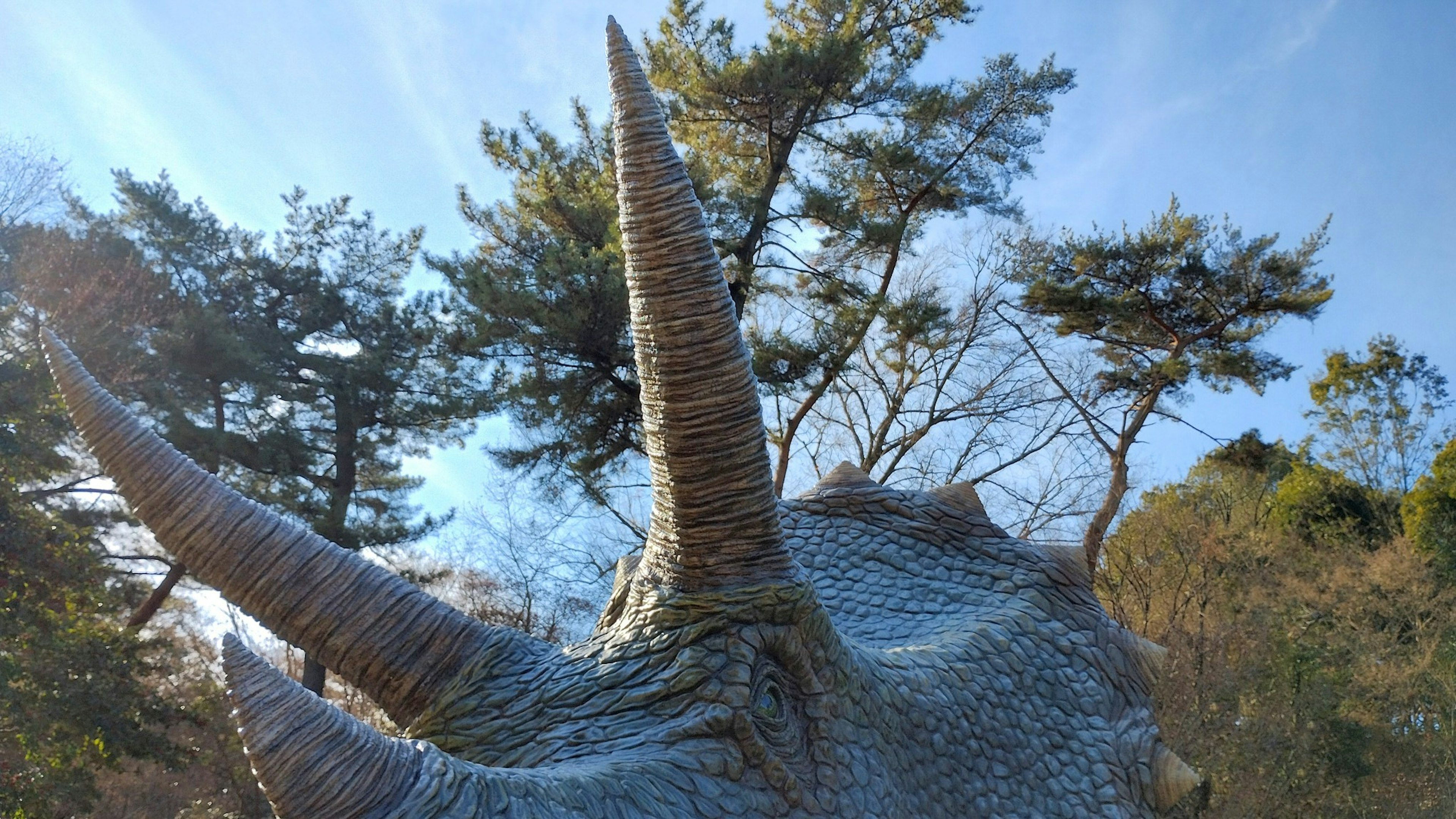 Close-up of a dinosaur head with prominent horns in a natural setting