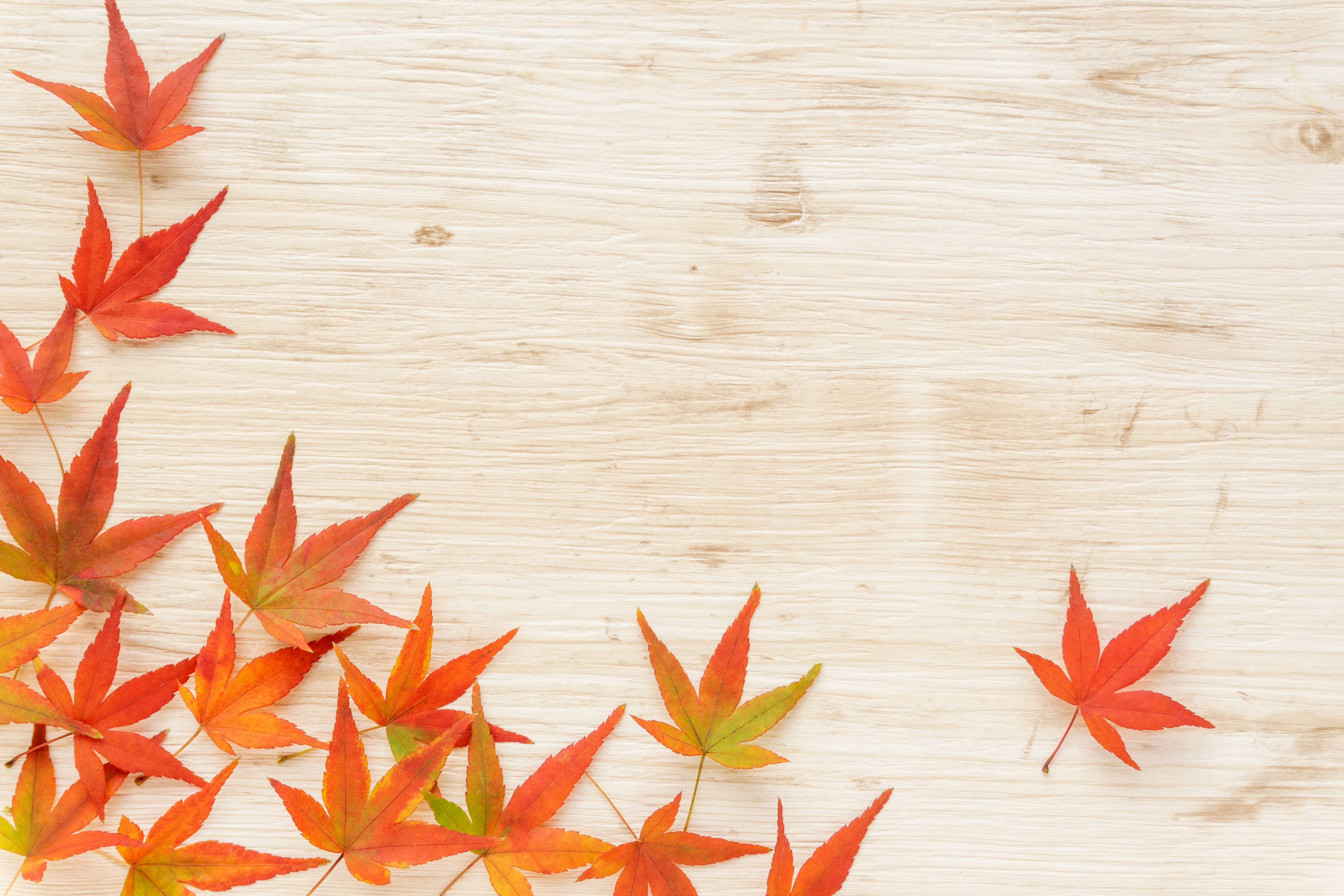 Scattered red maple leaves on a wooden table