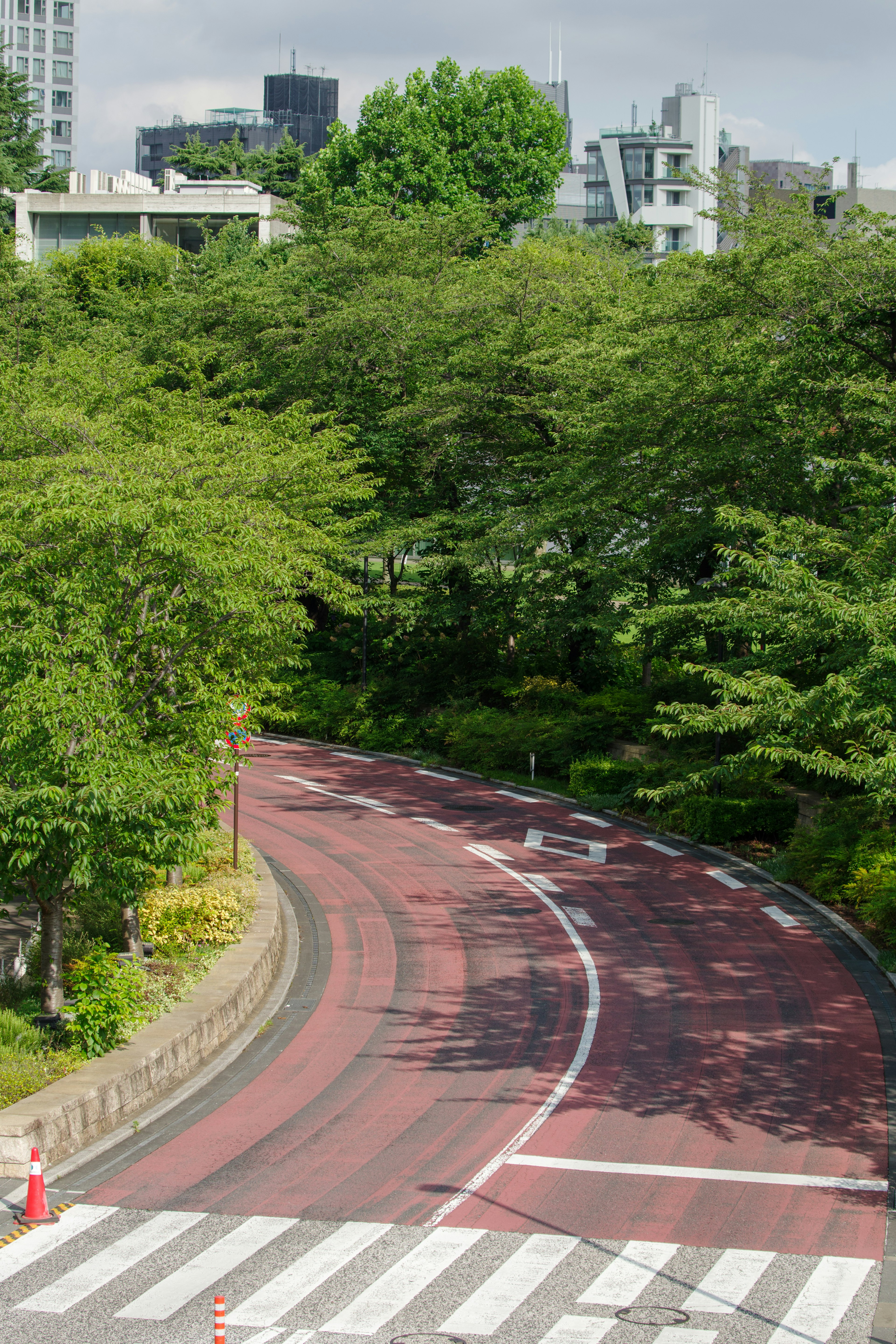 Jalan melengkung dikelilingi pepohonan dengan zebra cross