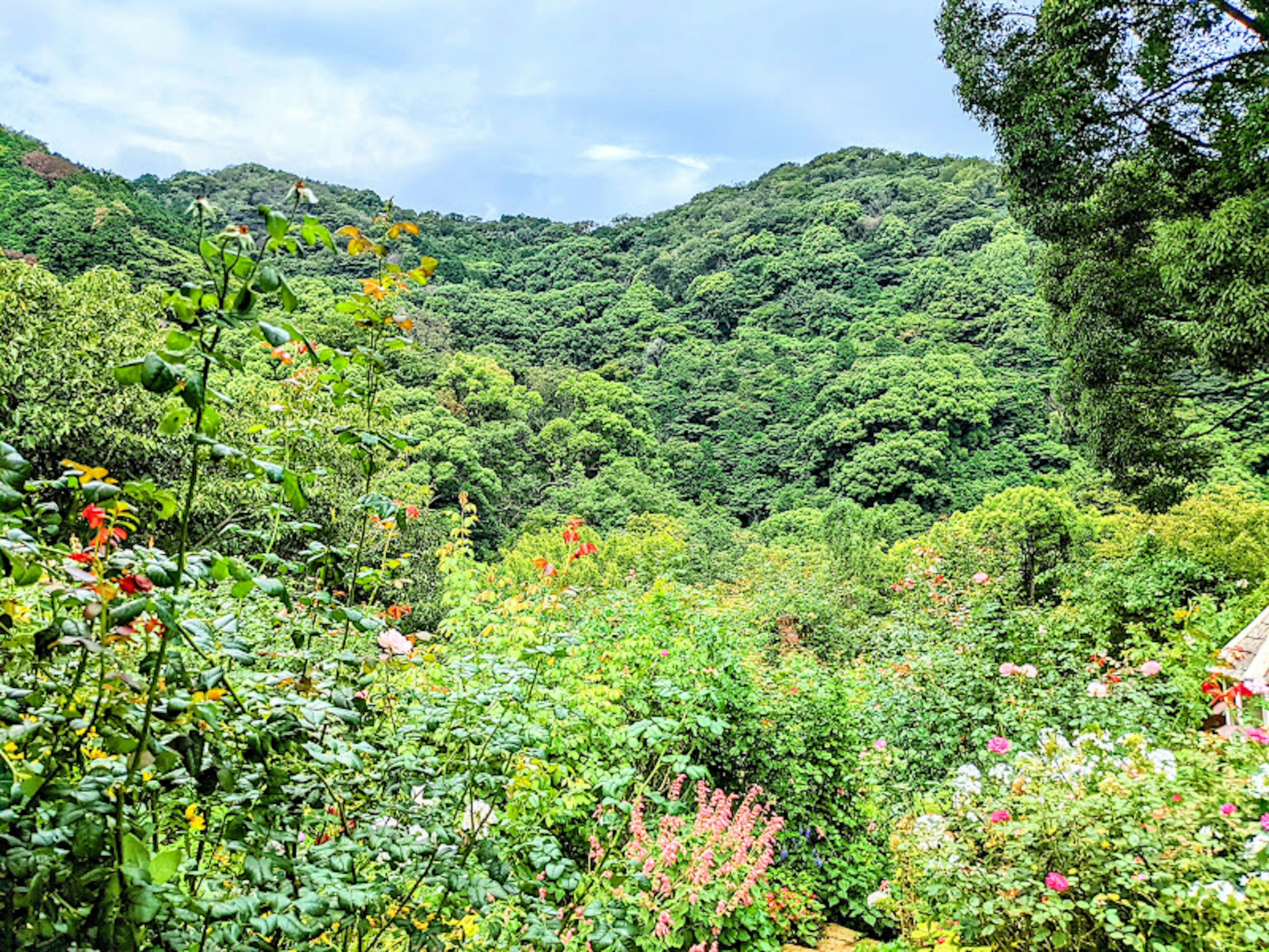 Lush green hills with colorful flowers in the foreground