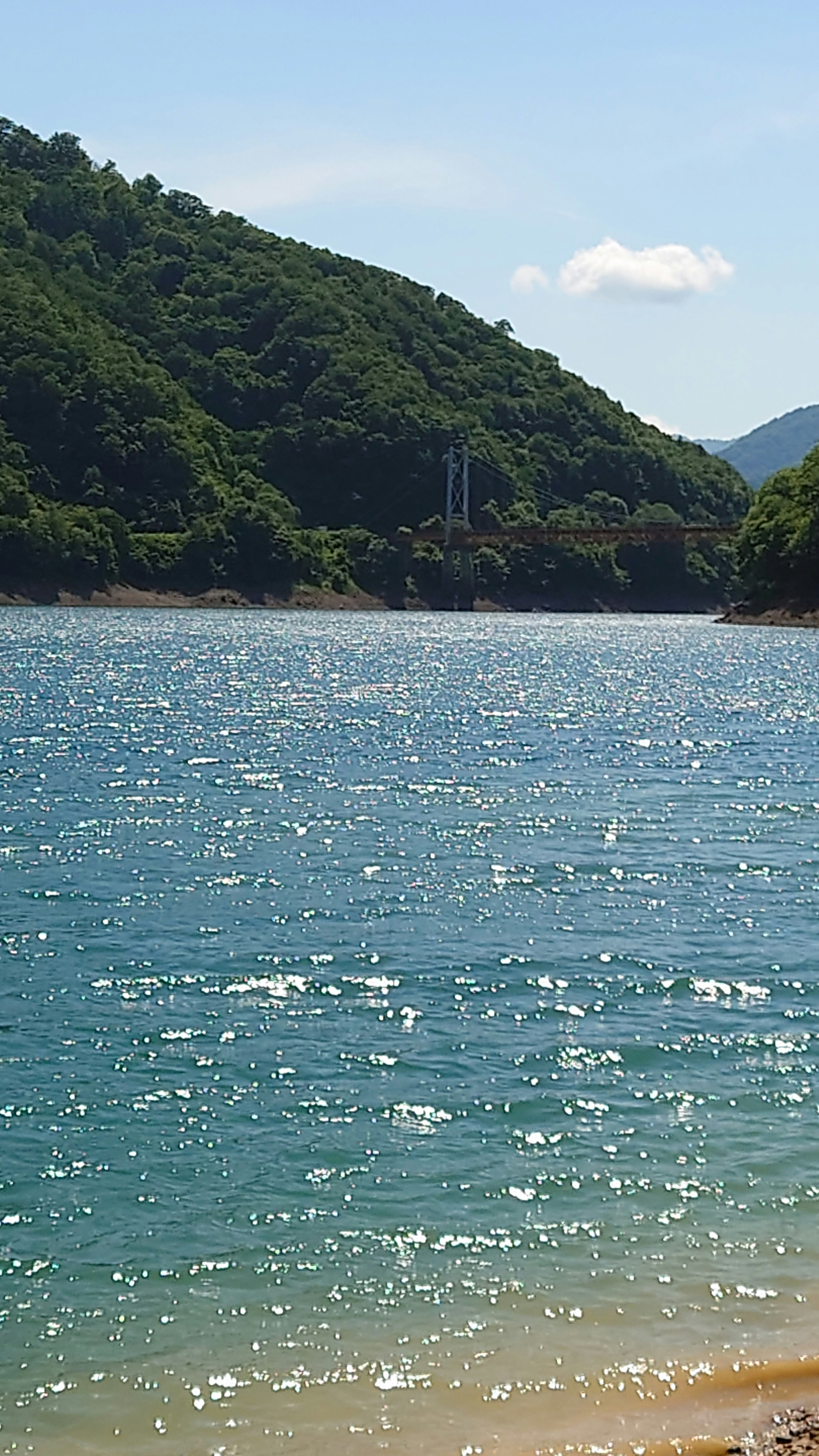 青い水面に光が反射する美しい湖の風景