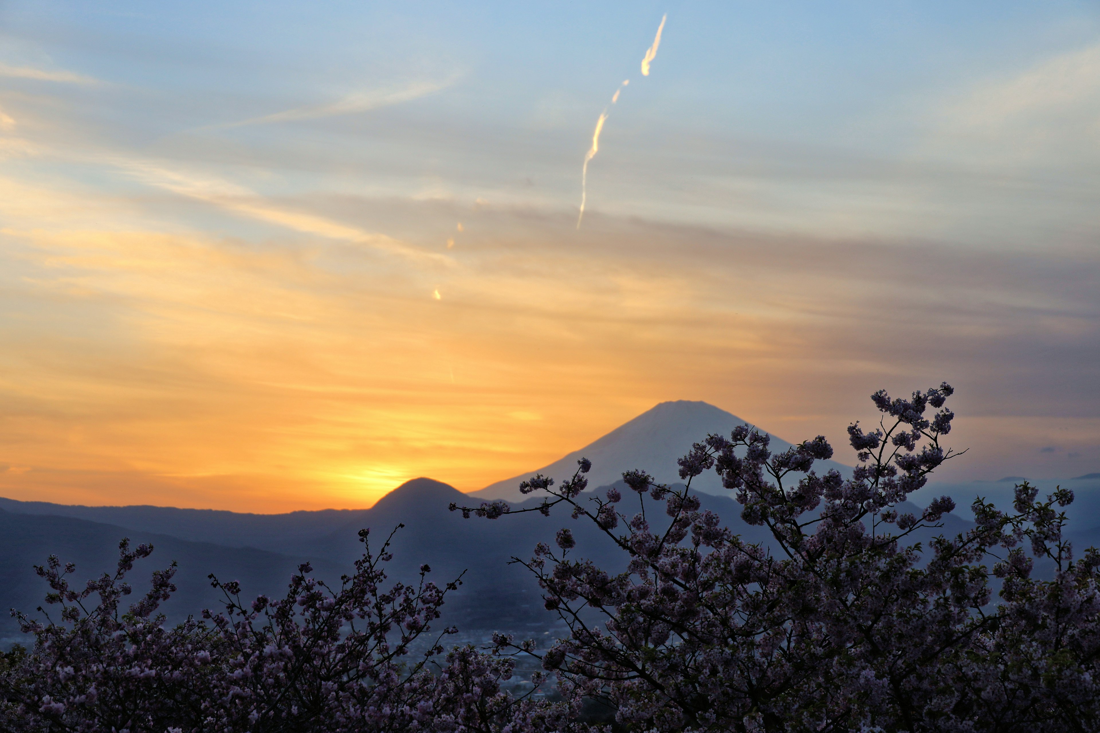 Vista panoramica di montagne e fiori durante un bellissimo tramonto