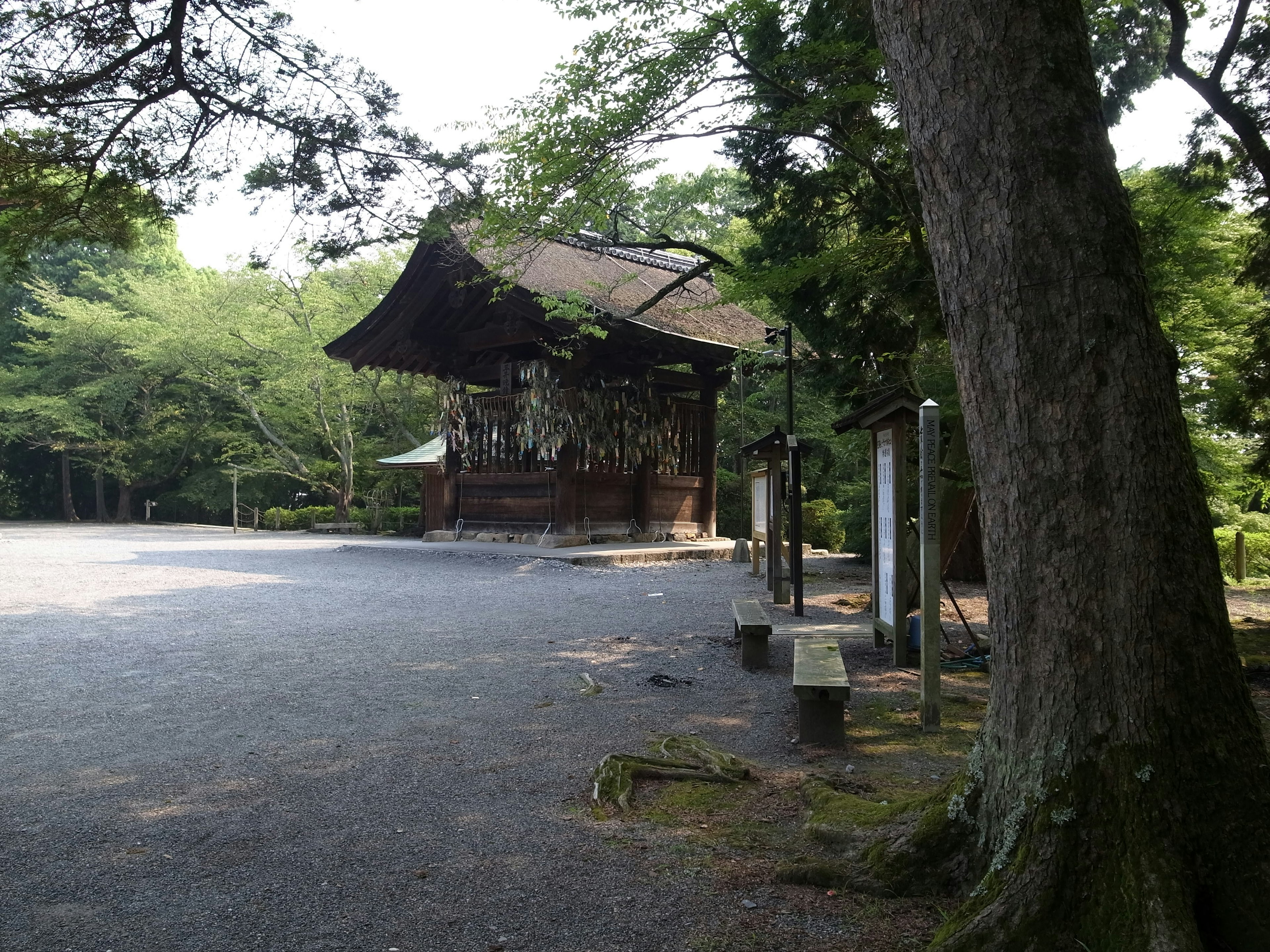 An old shrine building surrounded by lush greenery and trees