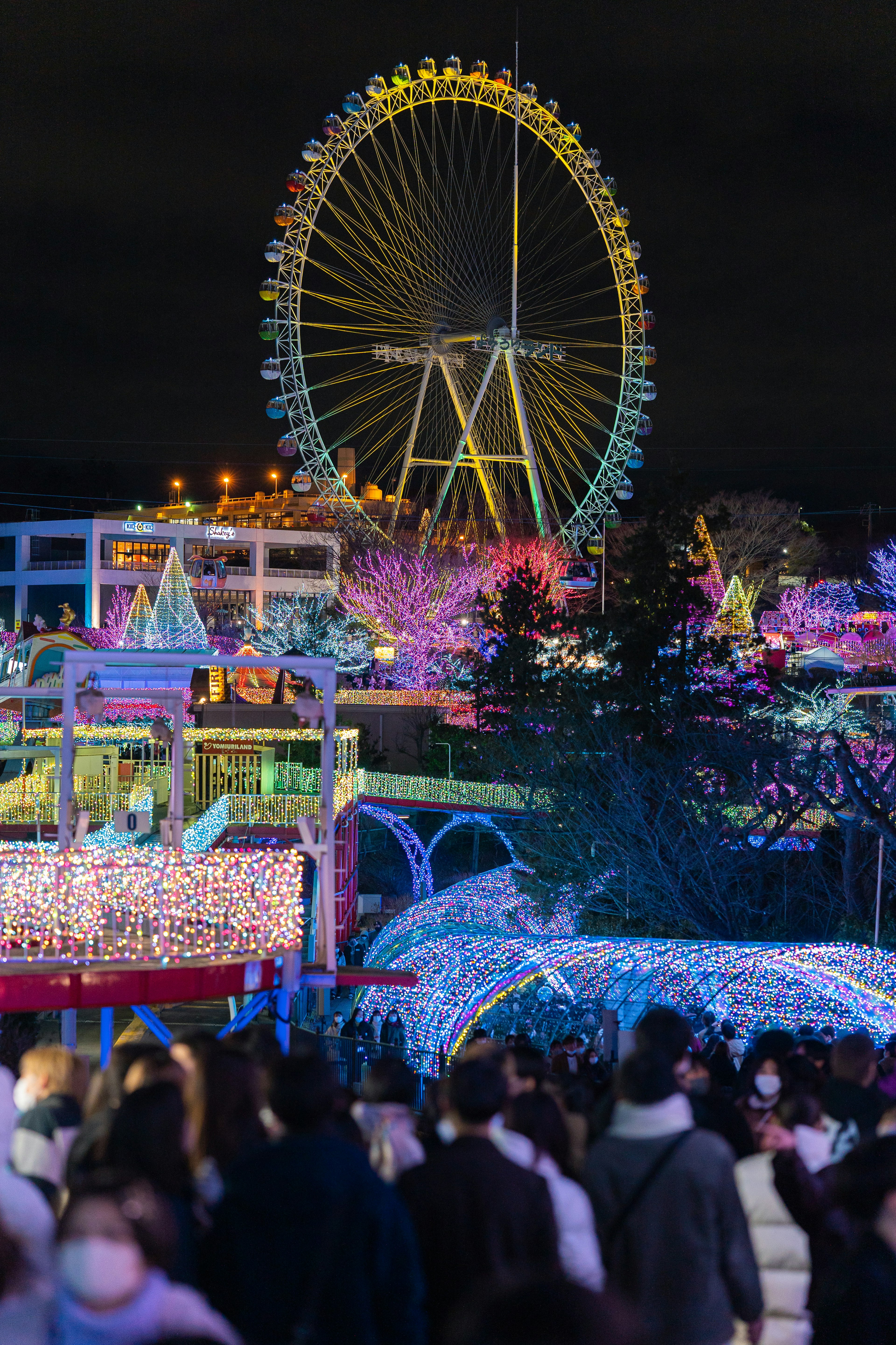 Night view of an amusement park featuring a illuminated Ferris wheel and colorful lights