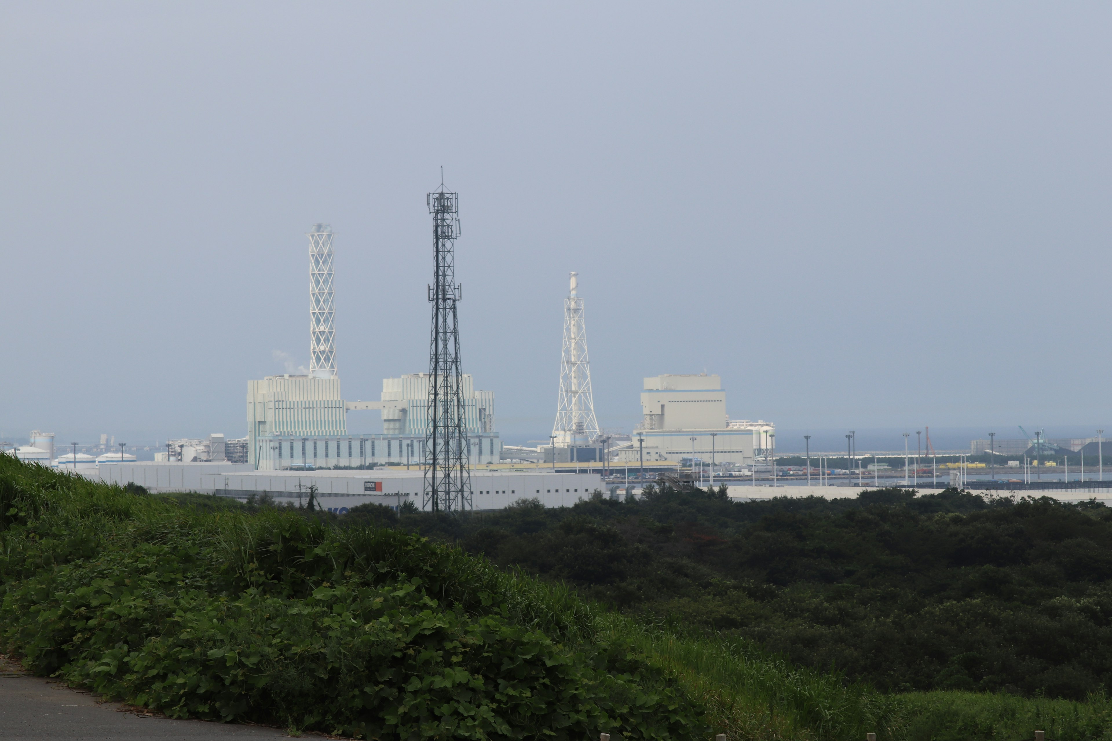 Pemandangan jauh dari Pembangkit Listrik Tenaga Nuklir Fukushima Daiichi dengan vegetasi sekitar