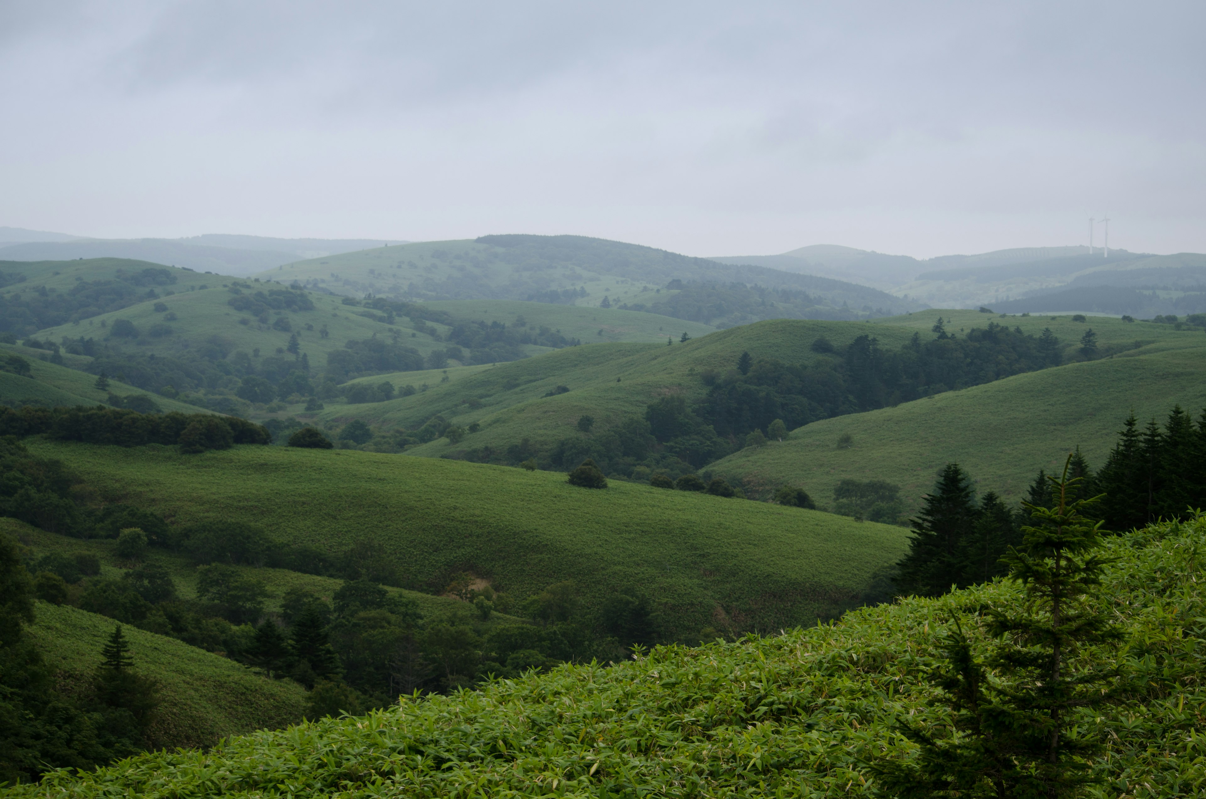 Collines verdoyantes sous un ciel nuageux