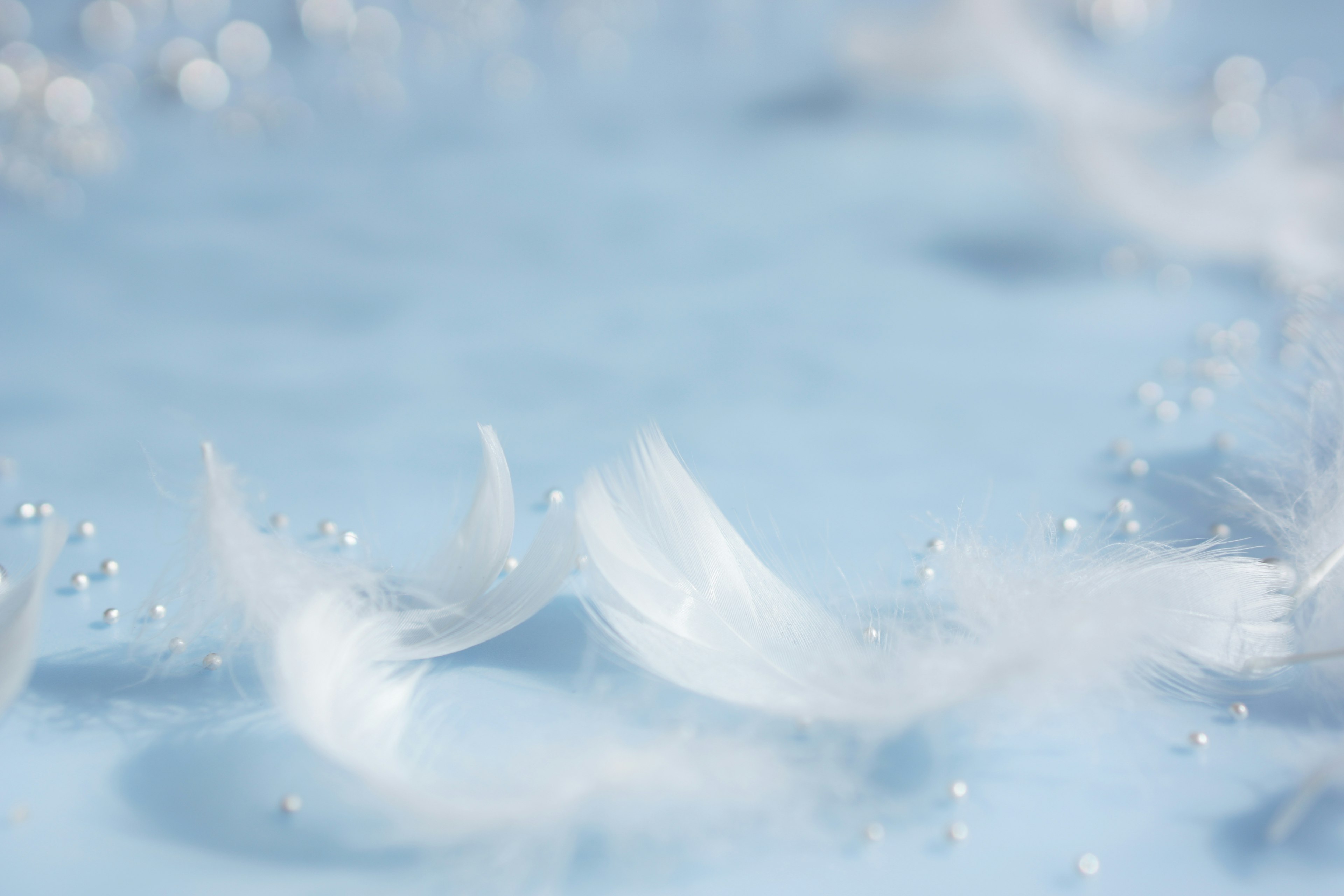 Delicate white feathers and pearls scattered on a soft blue background